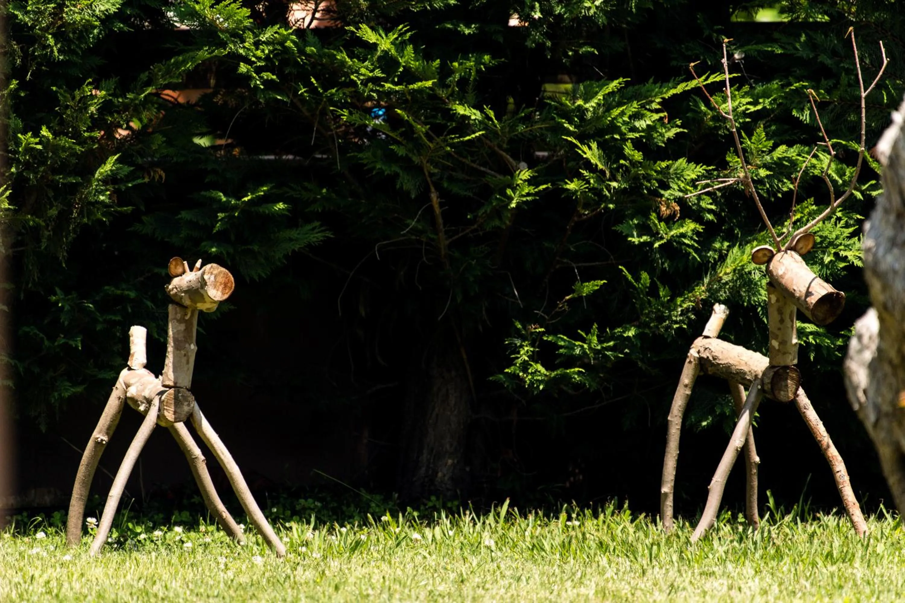 Garden in Alexandra Golden Boutique Hotel-Adults Only