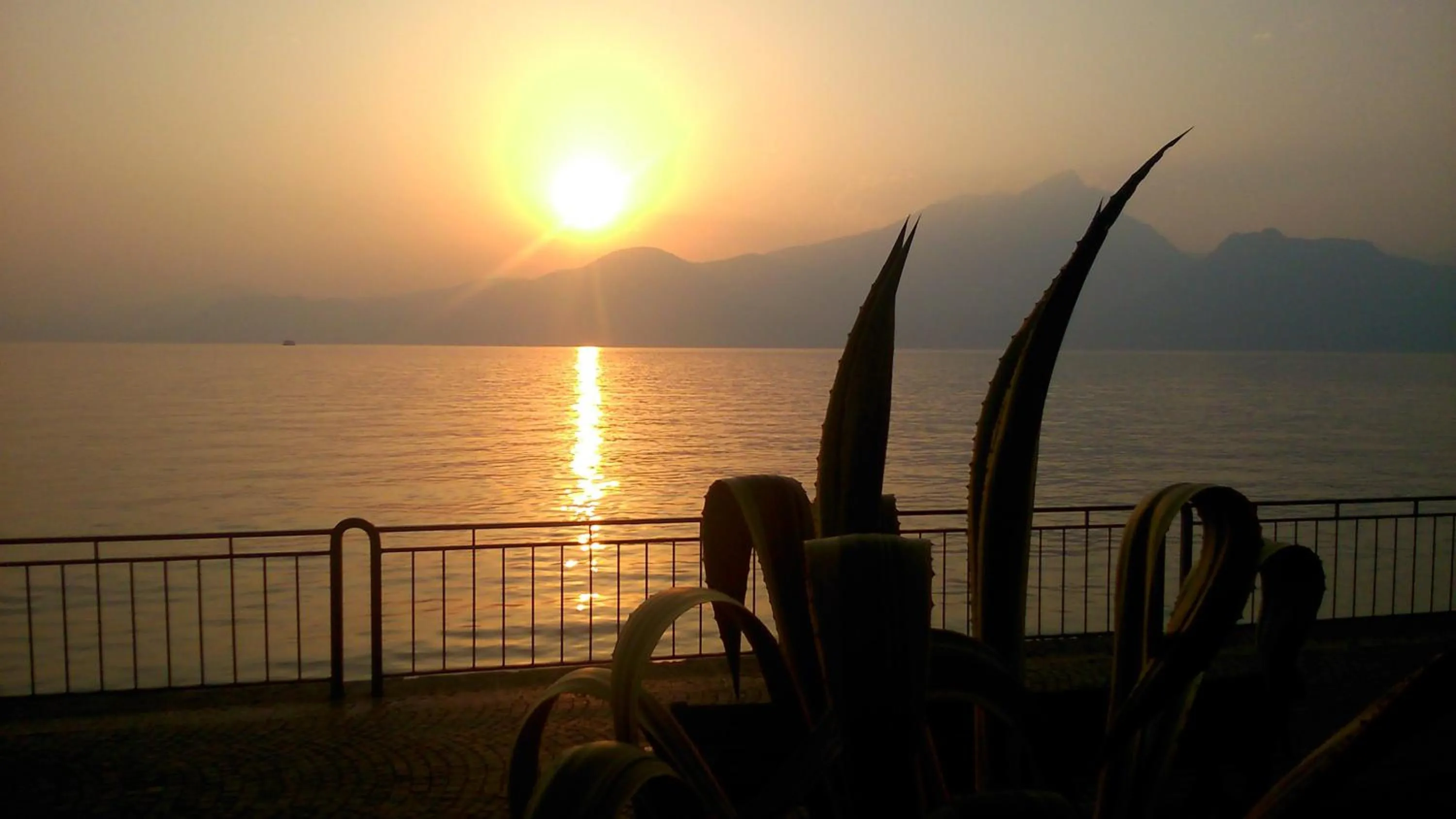 Natural landscape in Hotel Al Caval