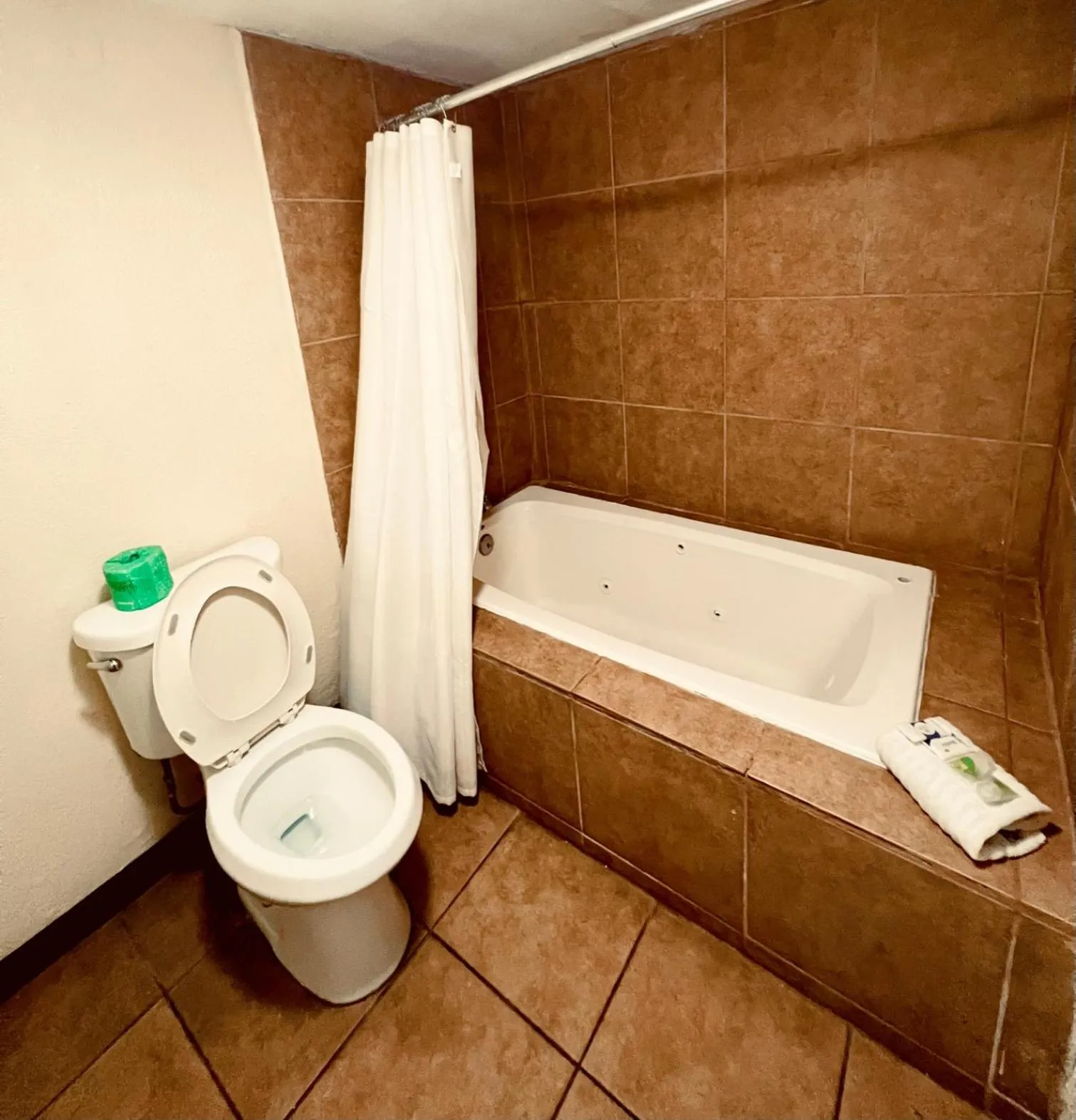 Econo Lodge Inn & Suites Downtown San Antonio Riverwalk Area