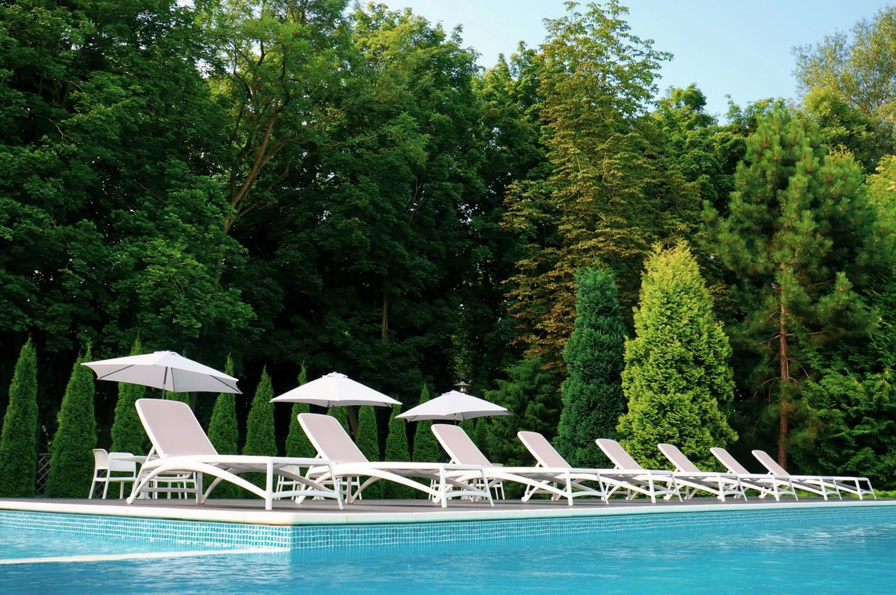 Day in Villa Park Med. & SPA