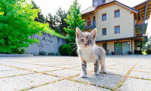 Villa Aina Boutique Hotel