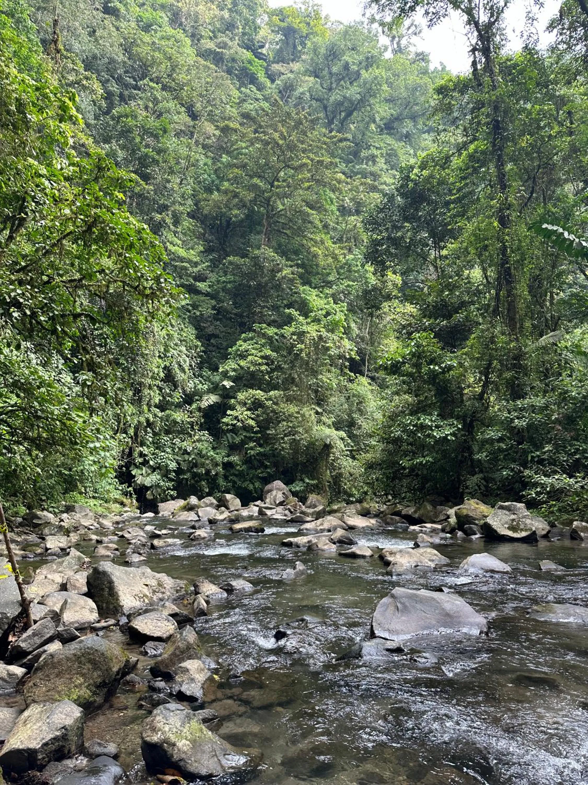 Day in Viajero La Fortuna Hostel