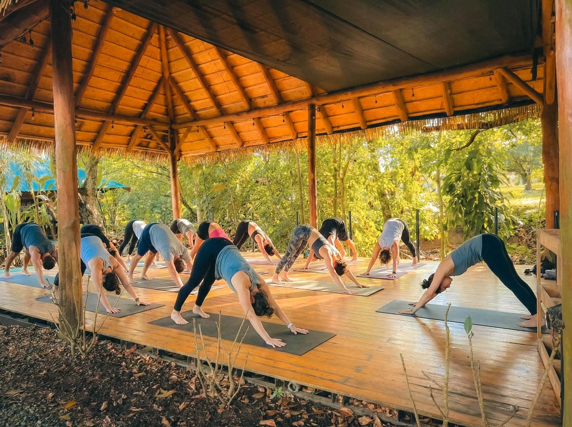 Activities in Viajero La Fortuna Hostel