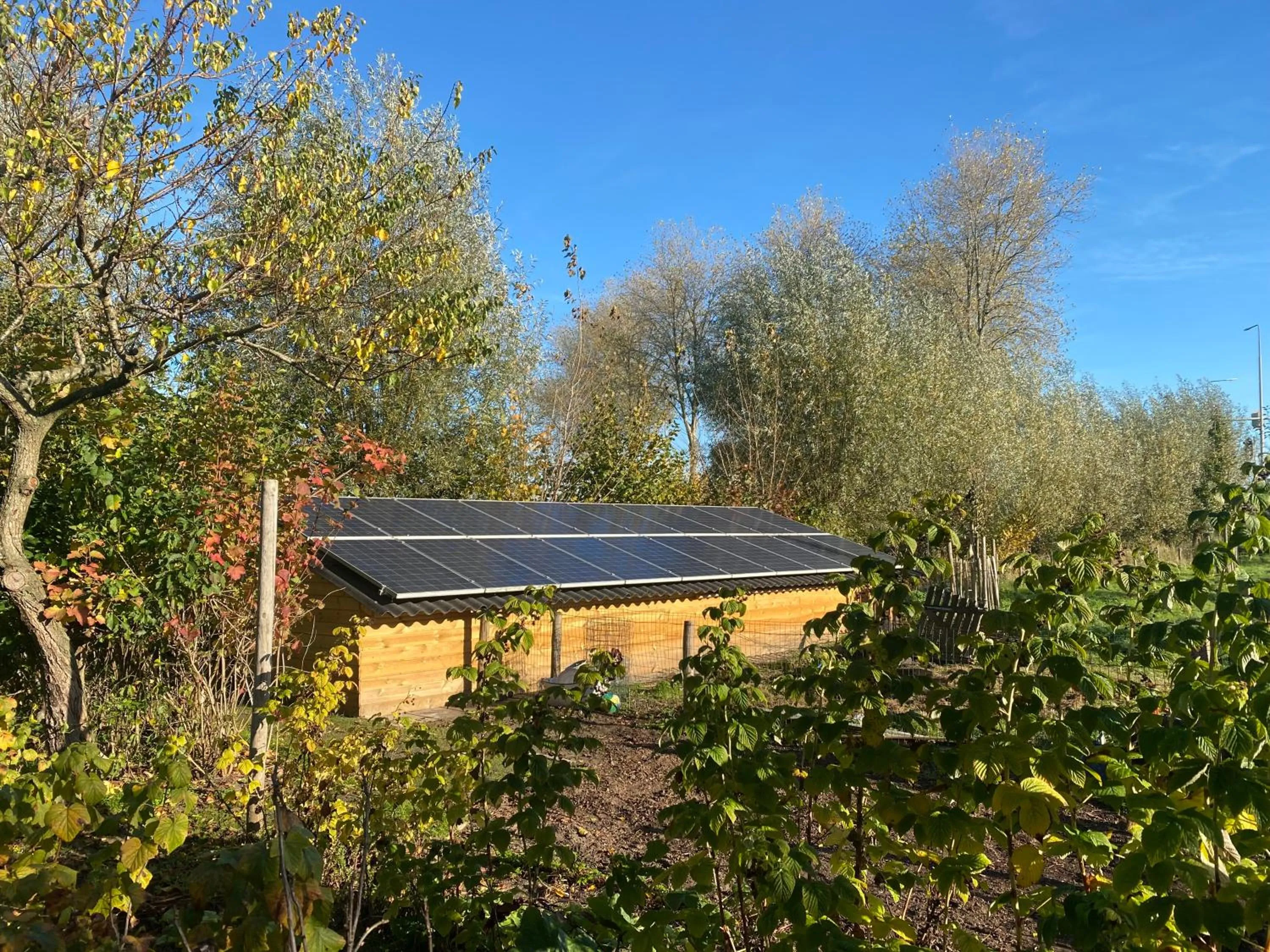 Garden in BenBZuiderzee