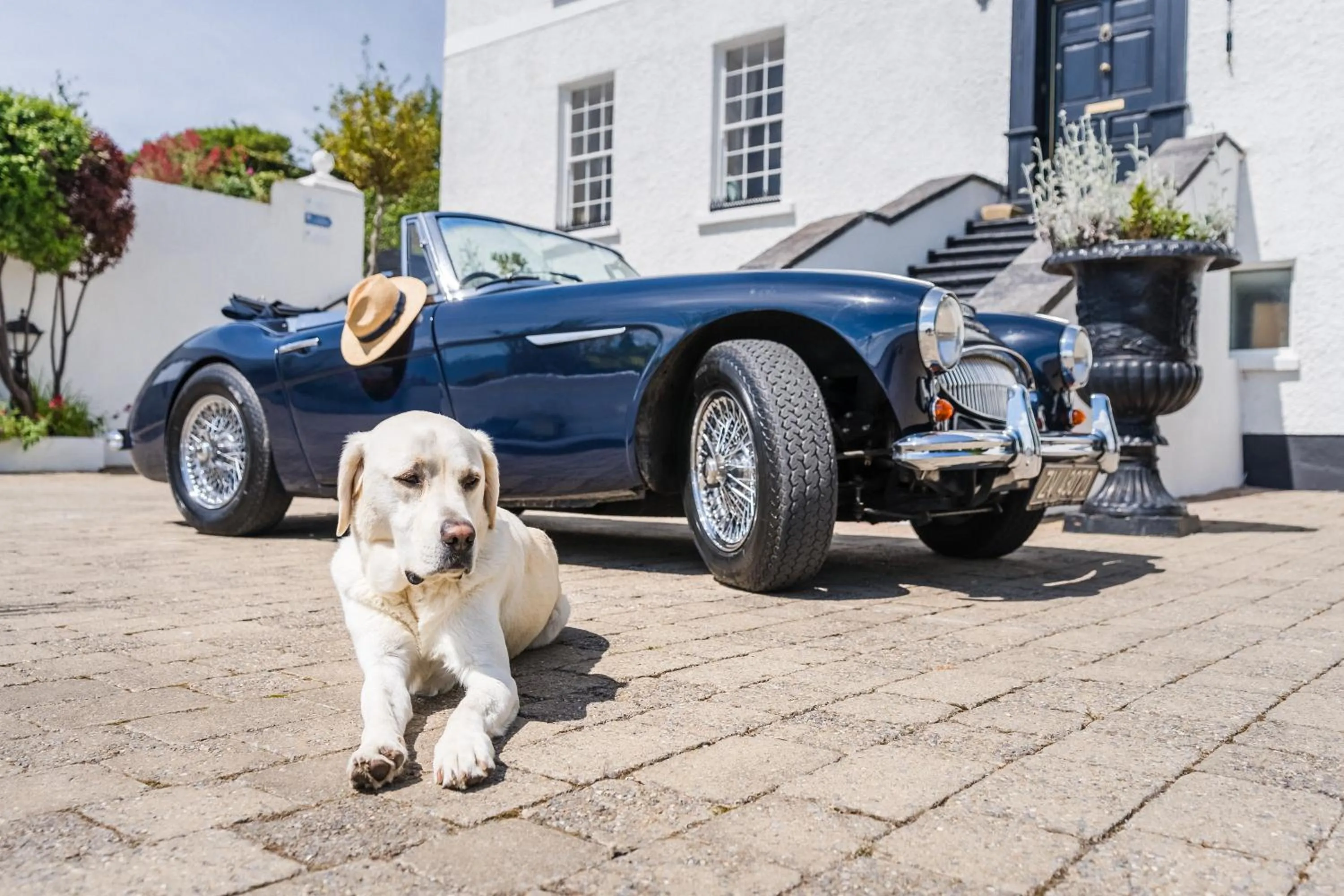 View (from property/room) in Barrow House