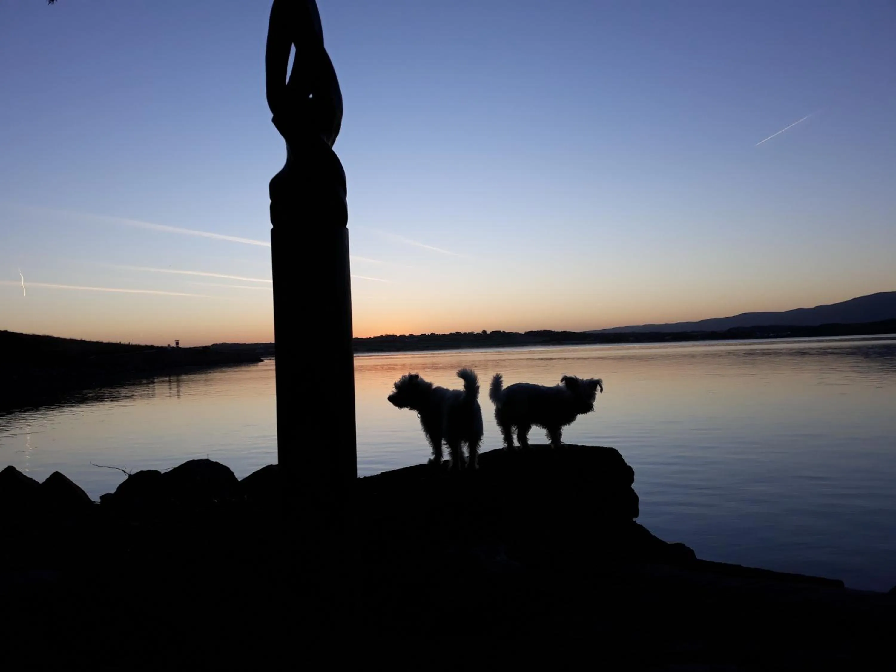Garden in Barrow House