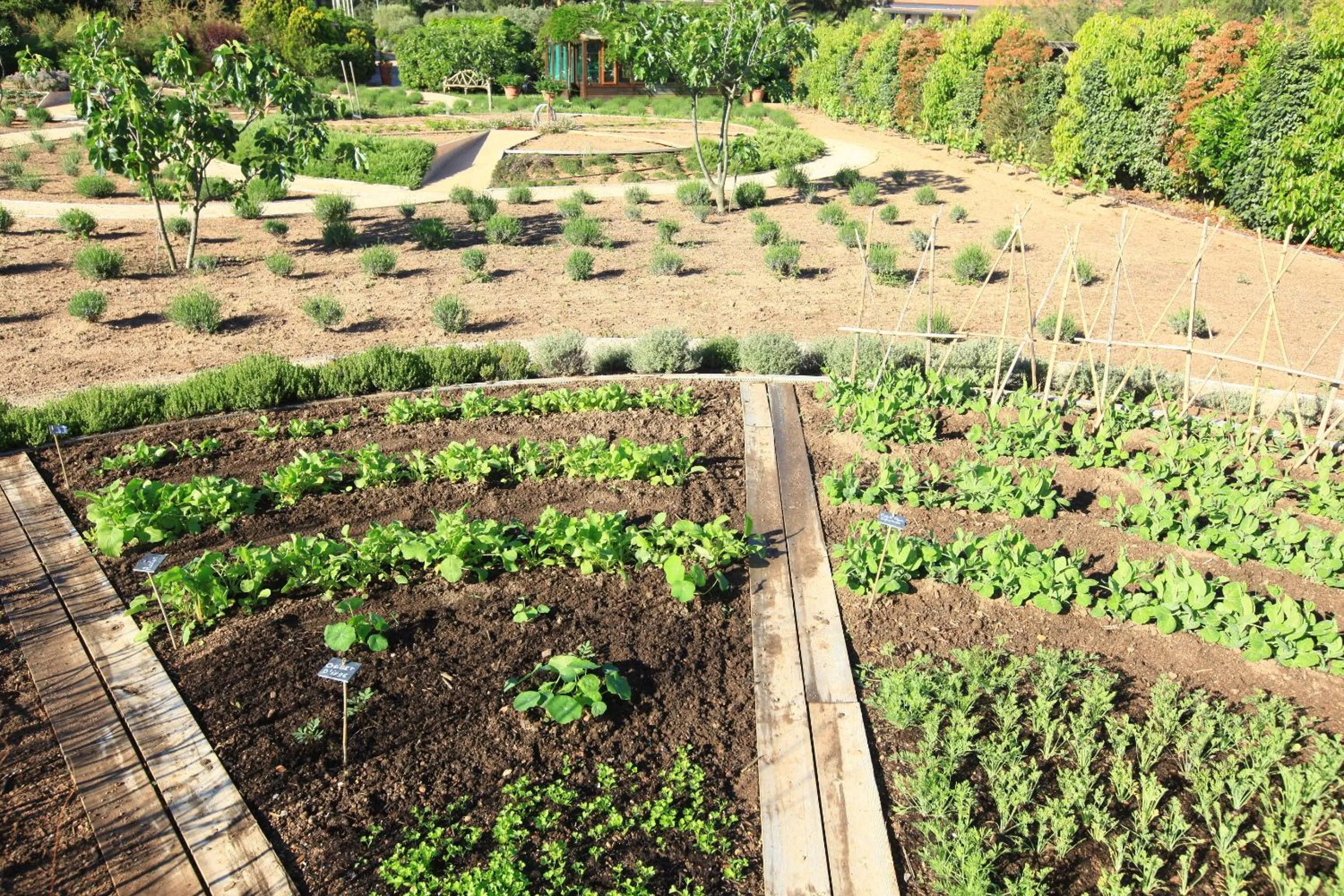 Garden in Grand Hôtel De Cala Rossa & Spa Nucca