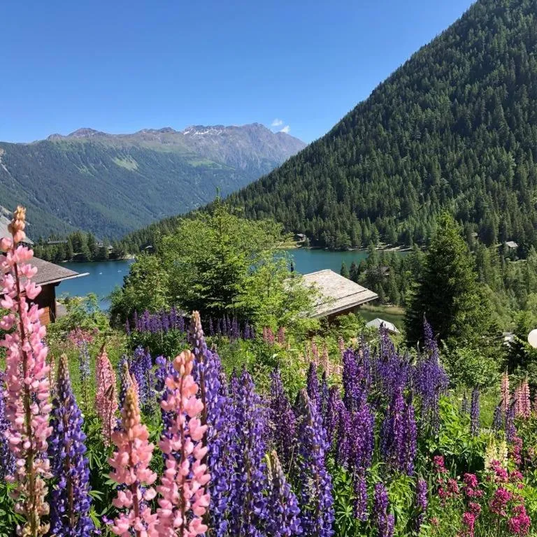 Restaurant/places to eat in Au Vieux Champex