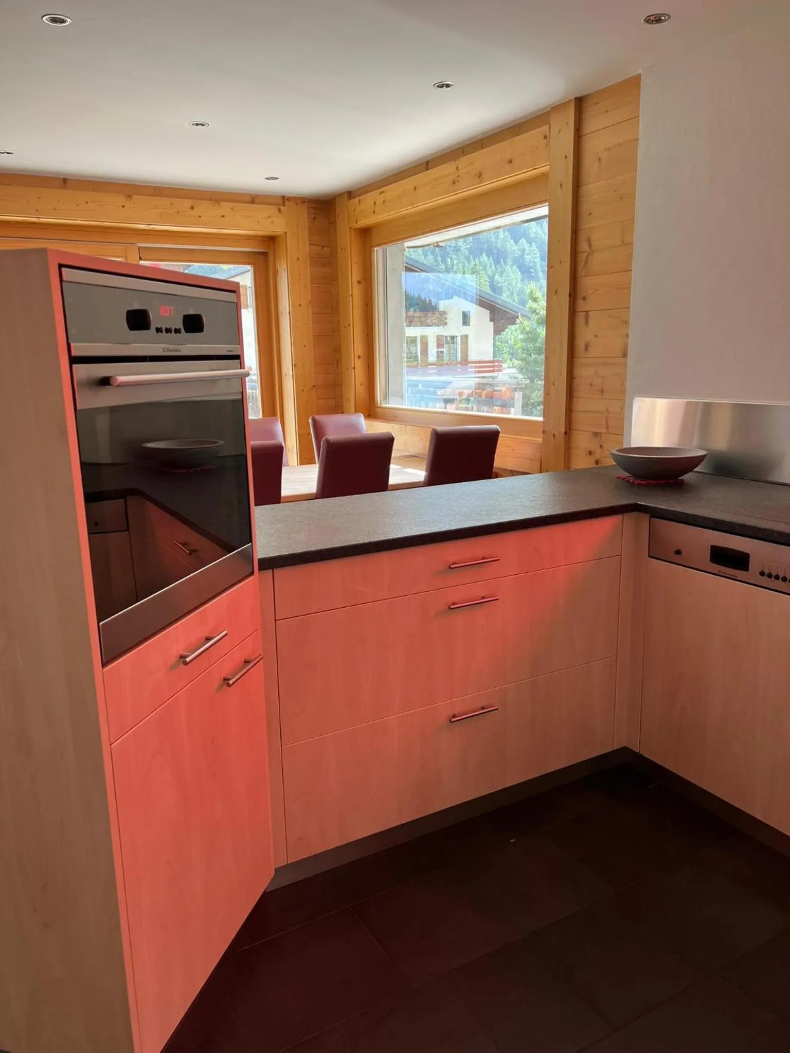 dishwasher in Au Vieux Champex