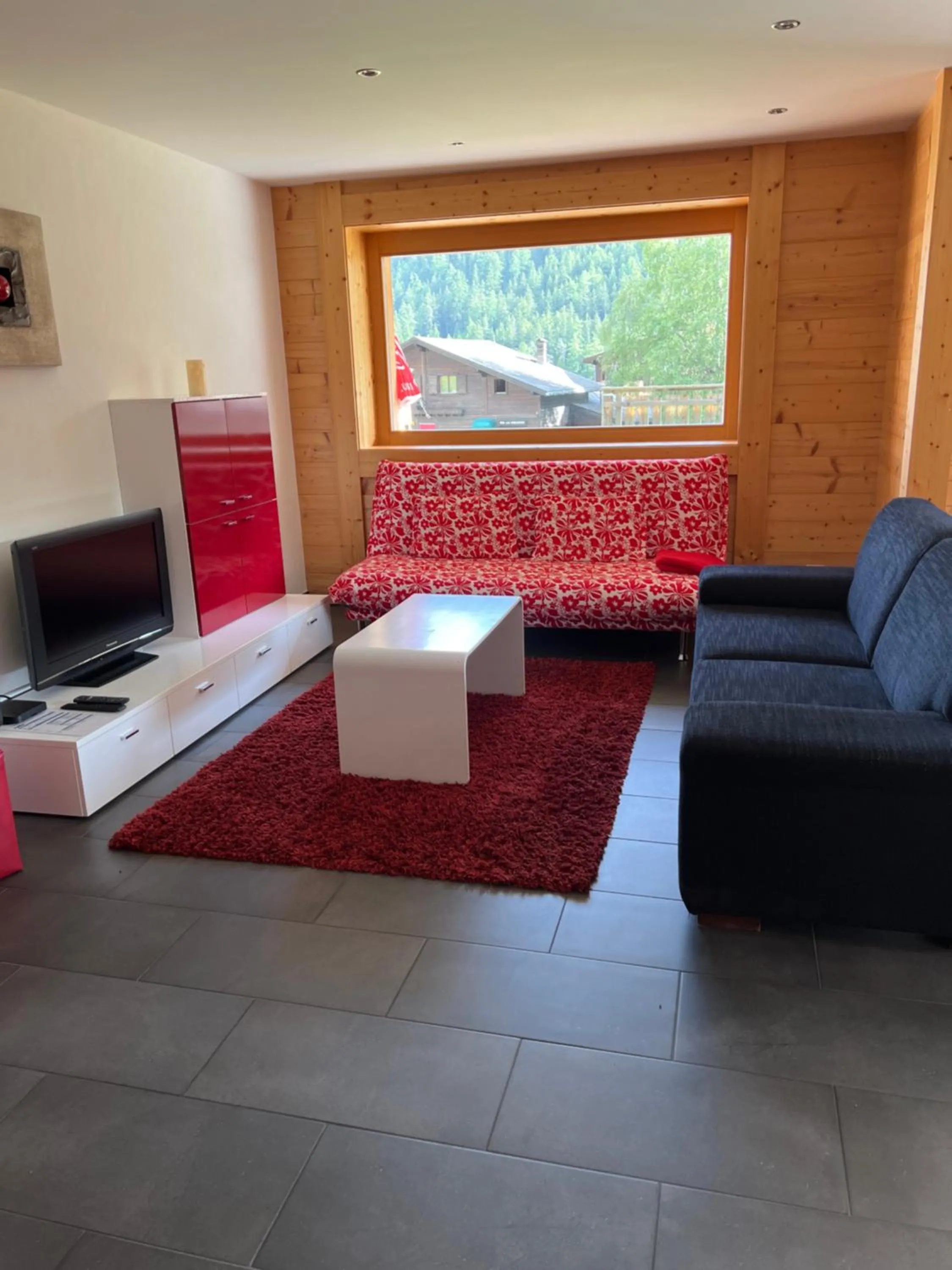 TV and multimedia in Au Vieux Champex