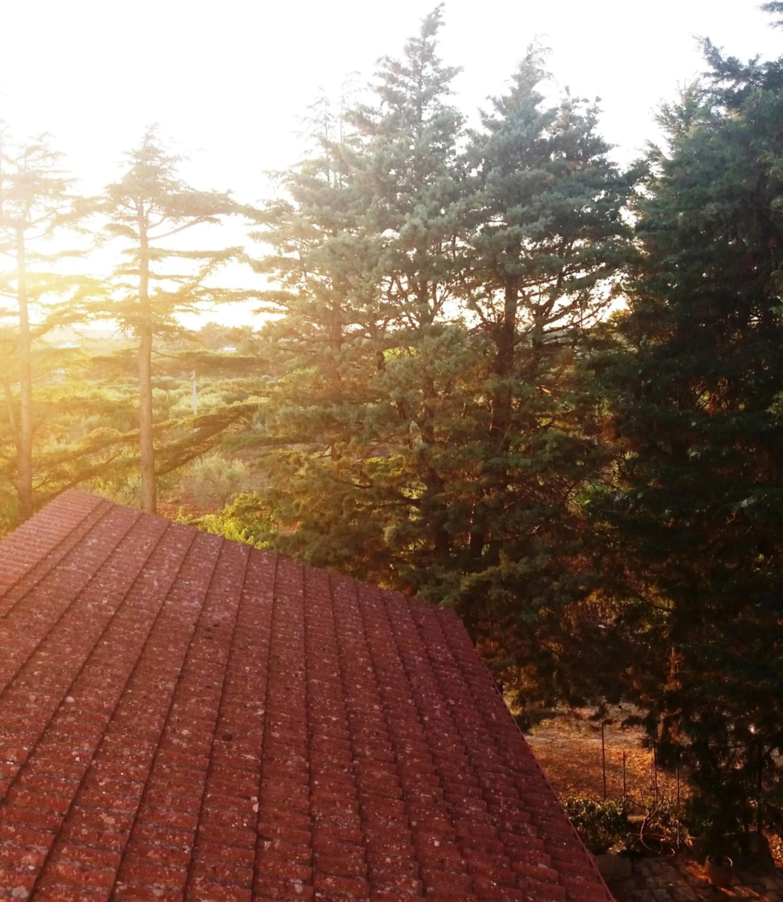 View (from property/room) in Dimora Romano