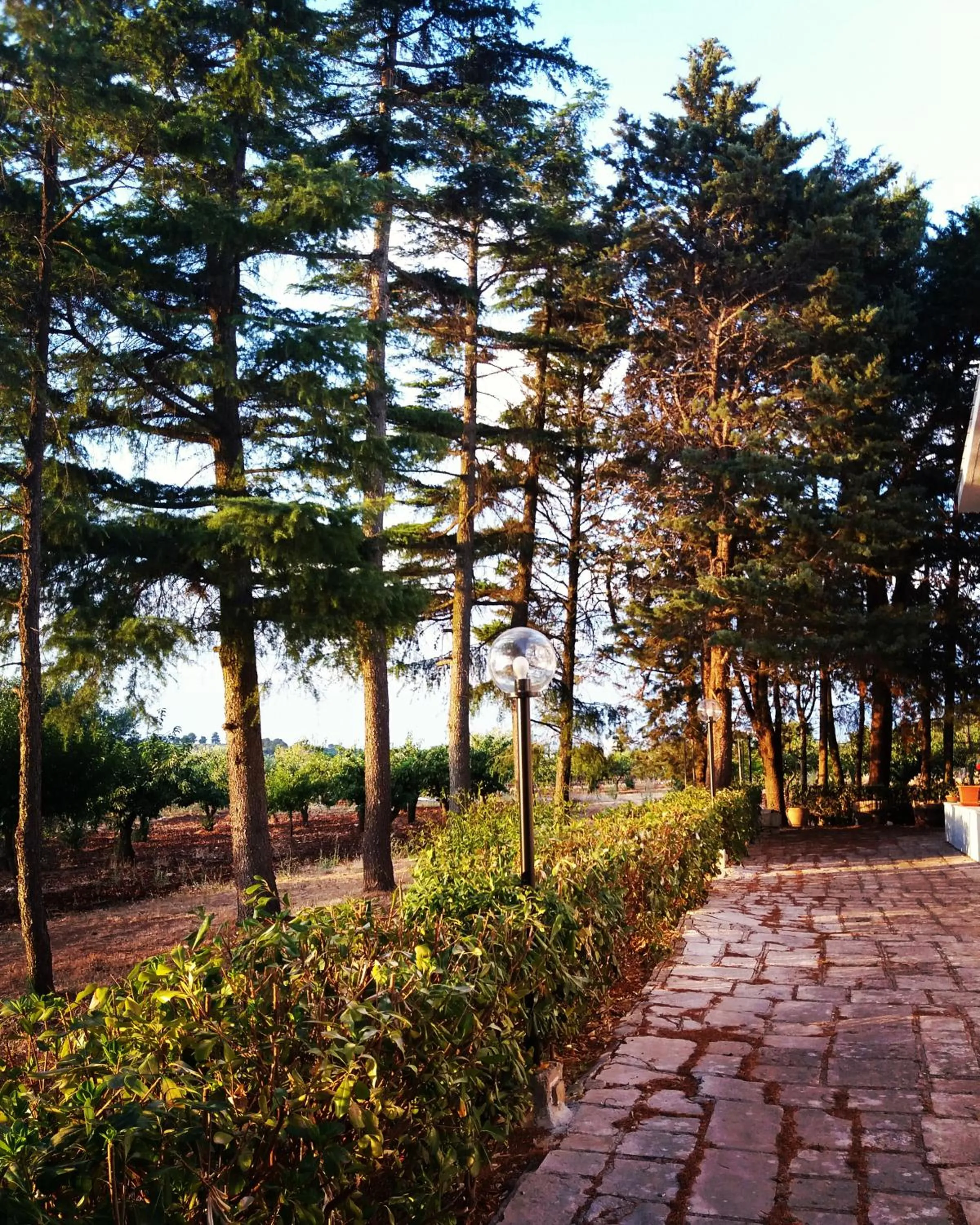 Garden in Dimora Romano