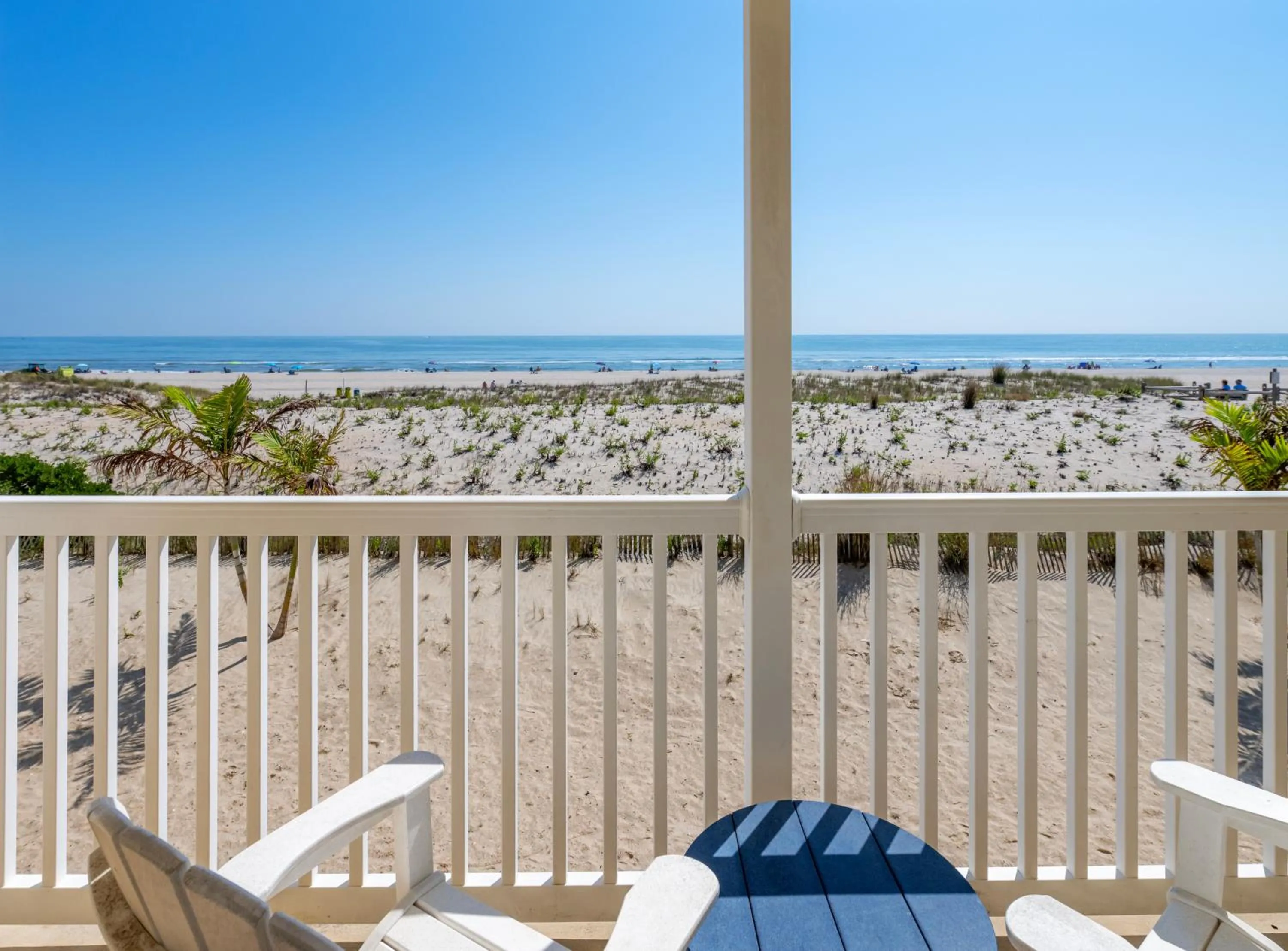 Natural landscape in Drifting Sands Oceanfront Hotel