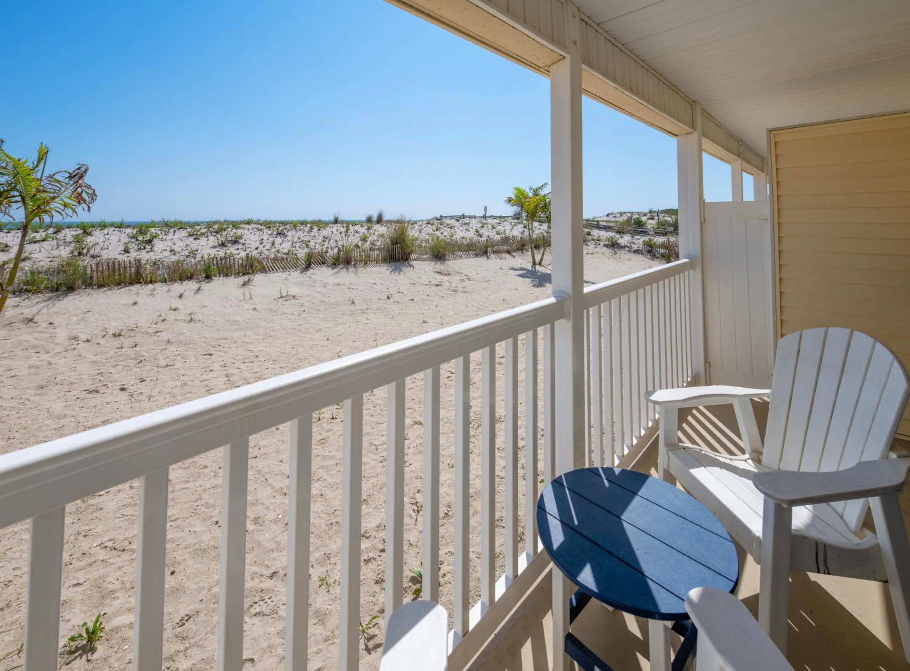 Natural landscape in Drifting Sands Oceanfront Hotel
