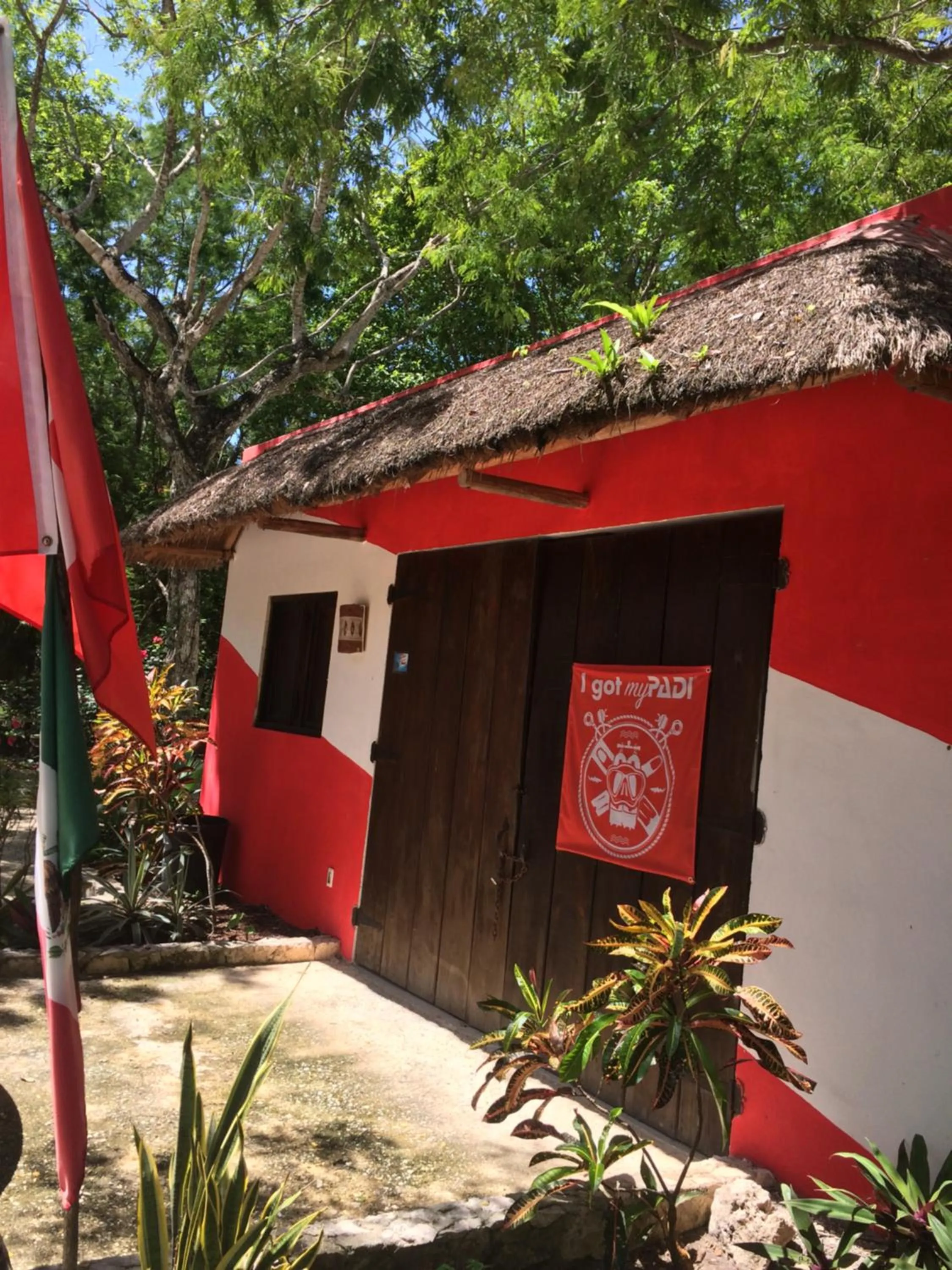 Snorkeling in La Villa Mexicana by Diving Prestige