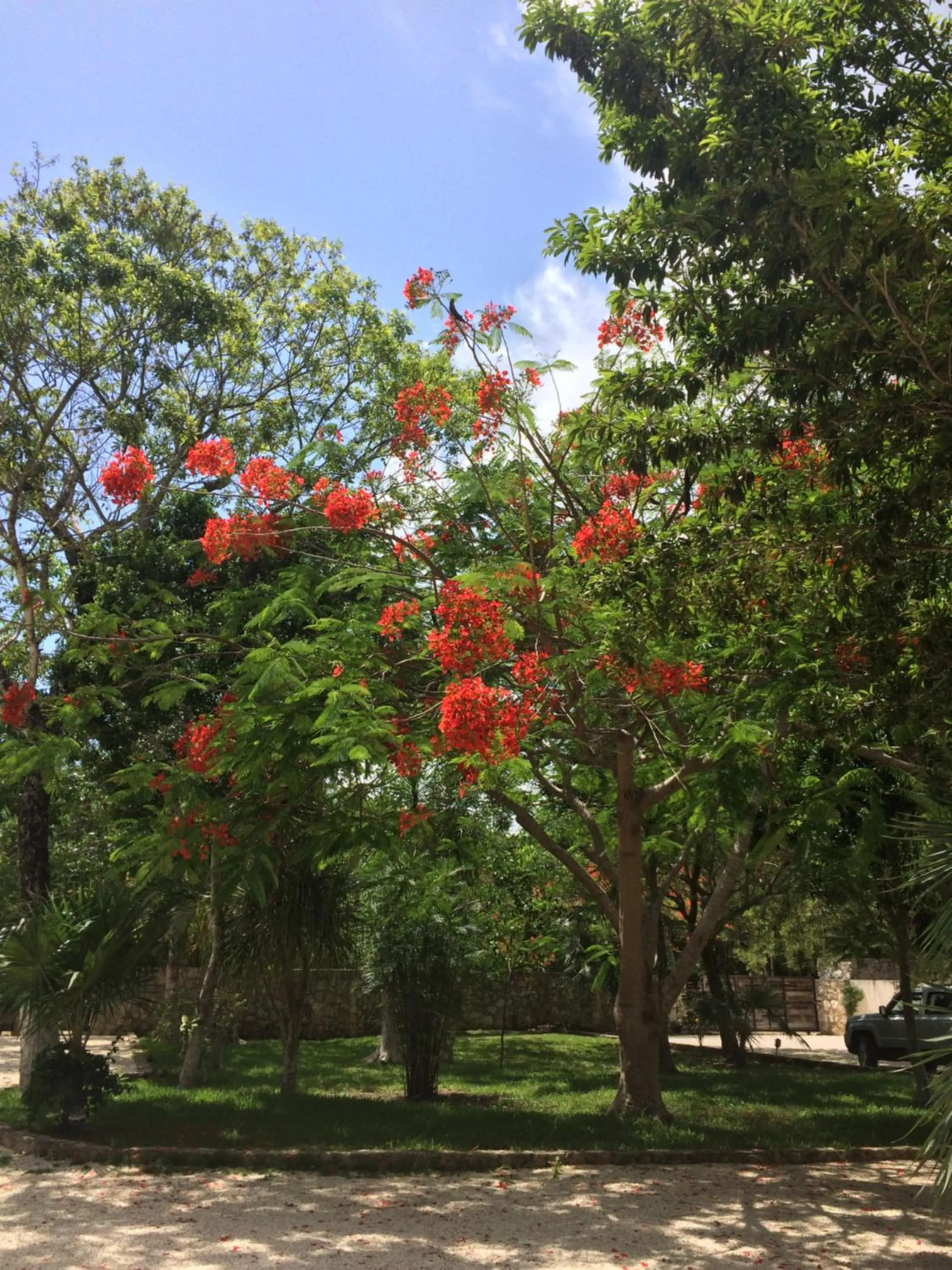 Natural landscape in La Villa Mexicana by Diving Prestige