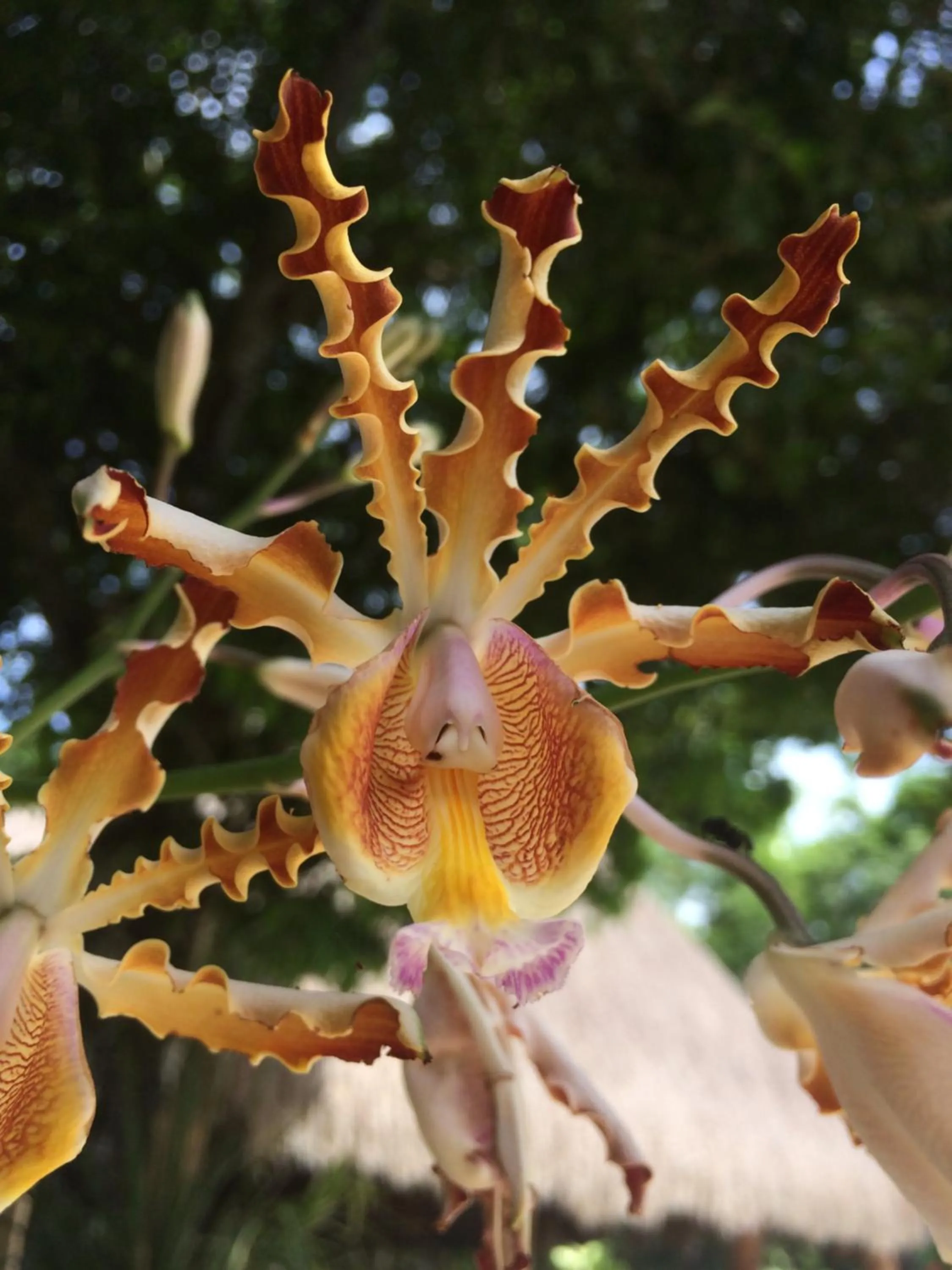 Natural landscape in La Villa Mexicana by Diving Prestige