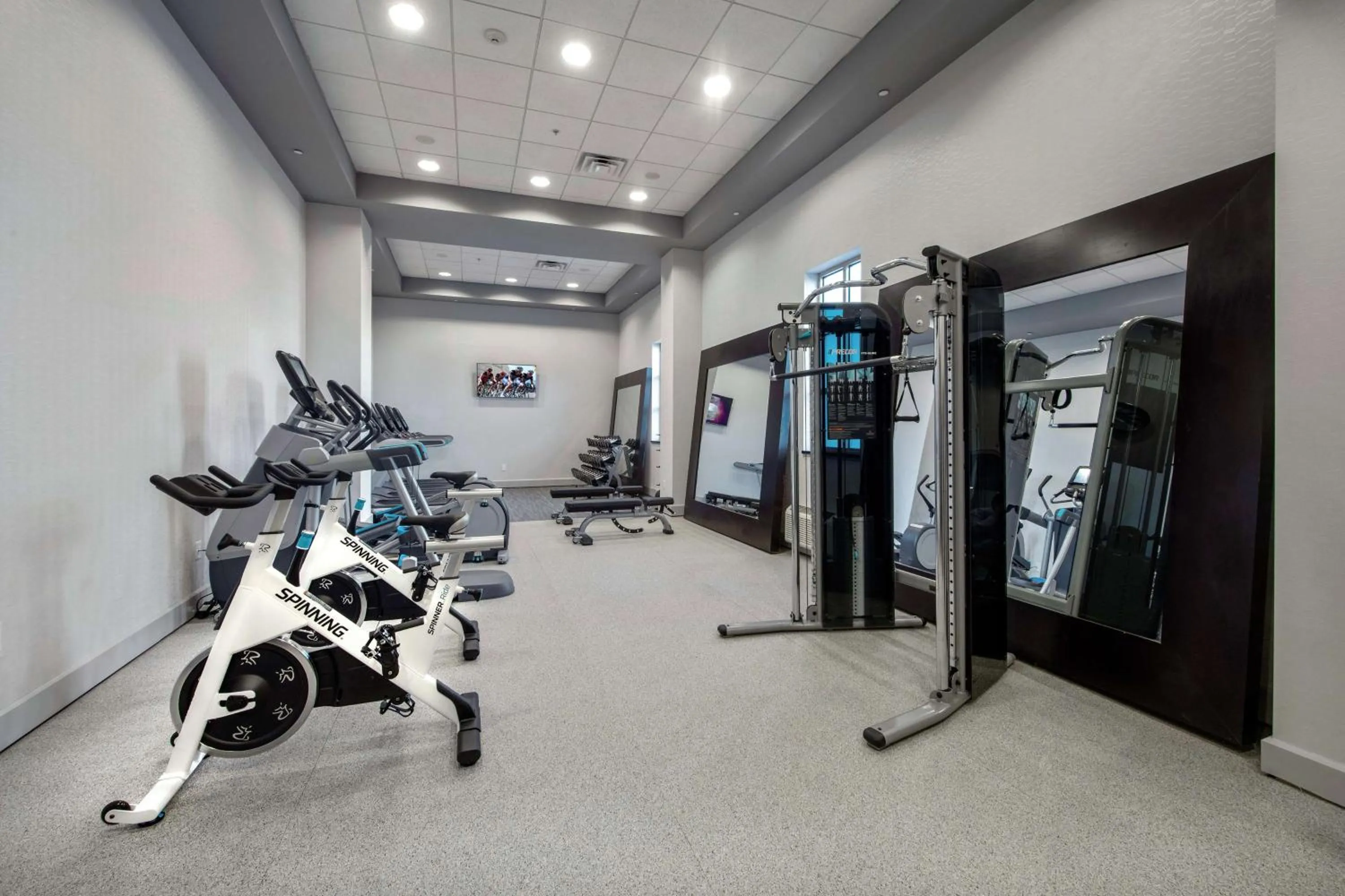 Fitness centre/facilities in Embassy Suites by Hilton Raleigh Durham Airport Brier Creek