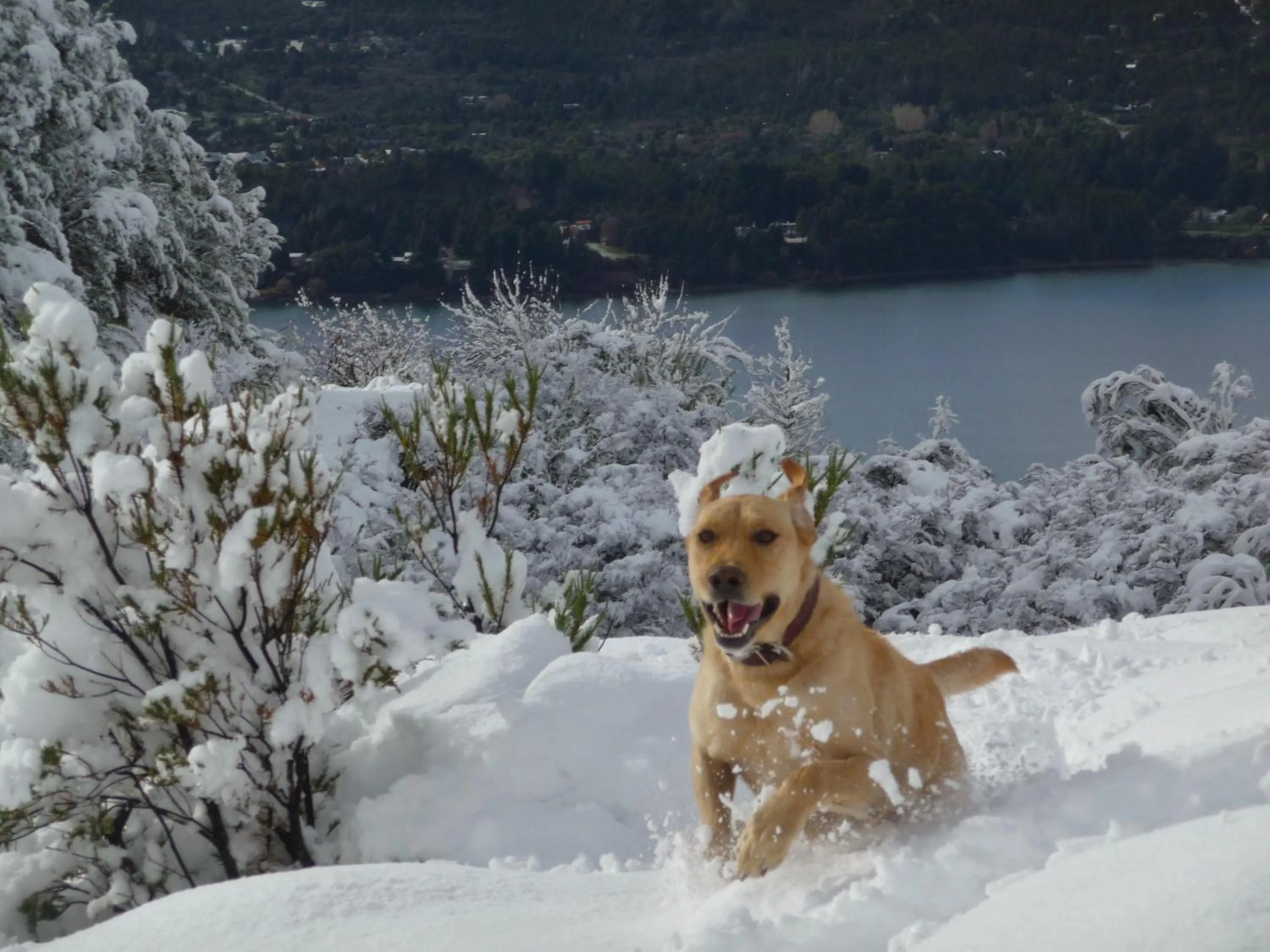 Winter in Galileo Boutique Hotel