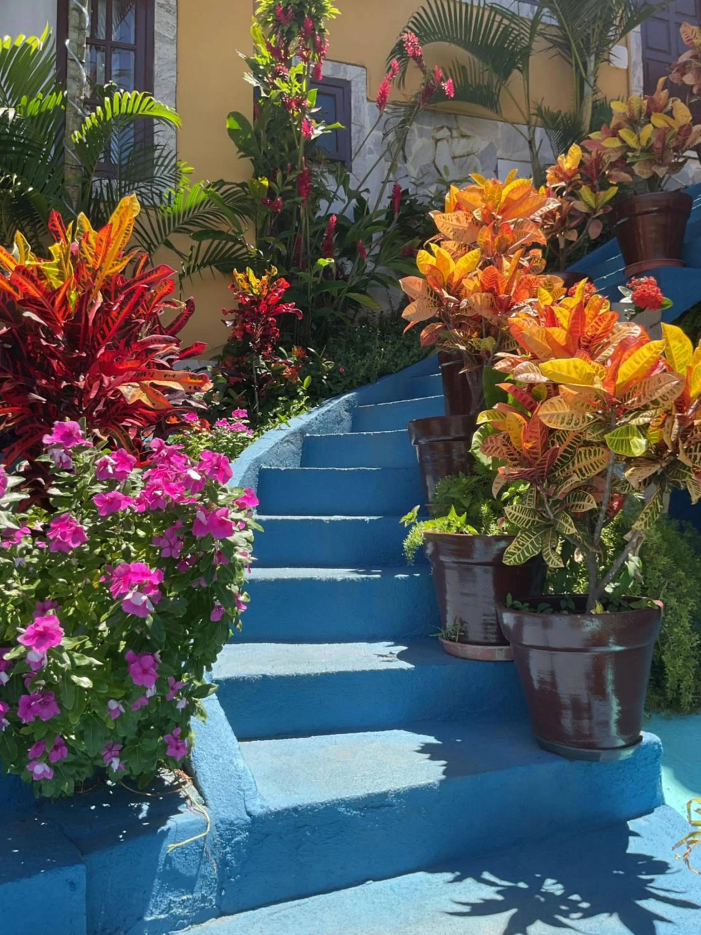 Garden in Flats Tartaruga Búzios