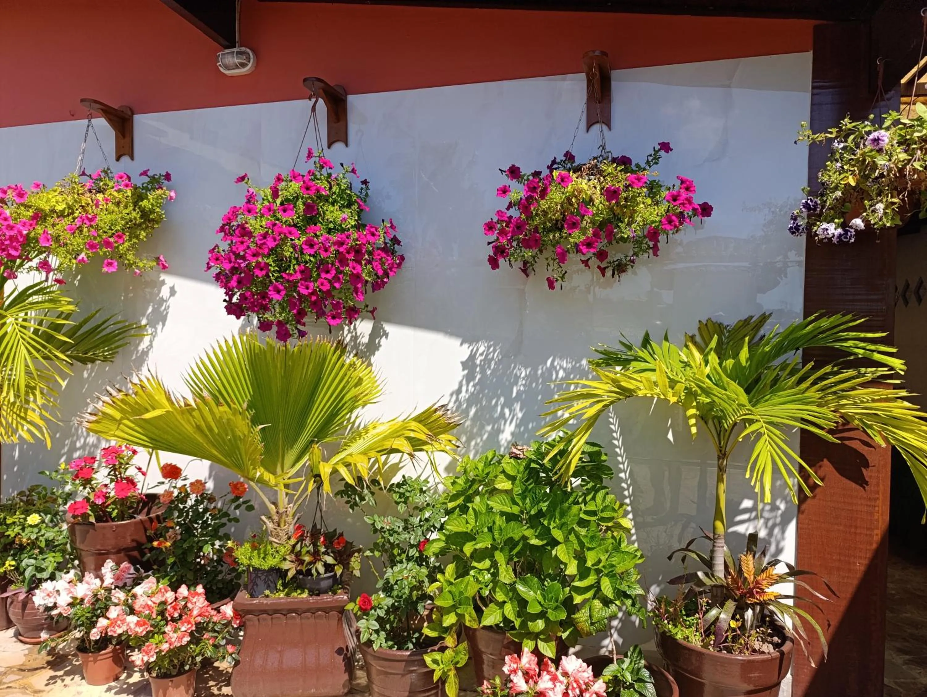 Flats Tartaruga Búzios