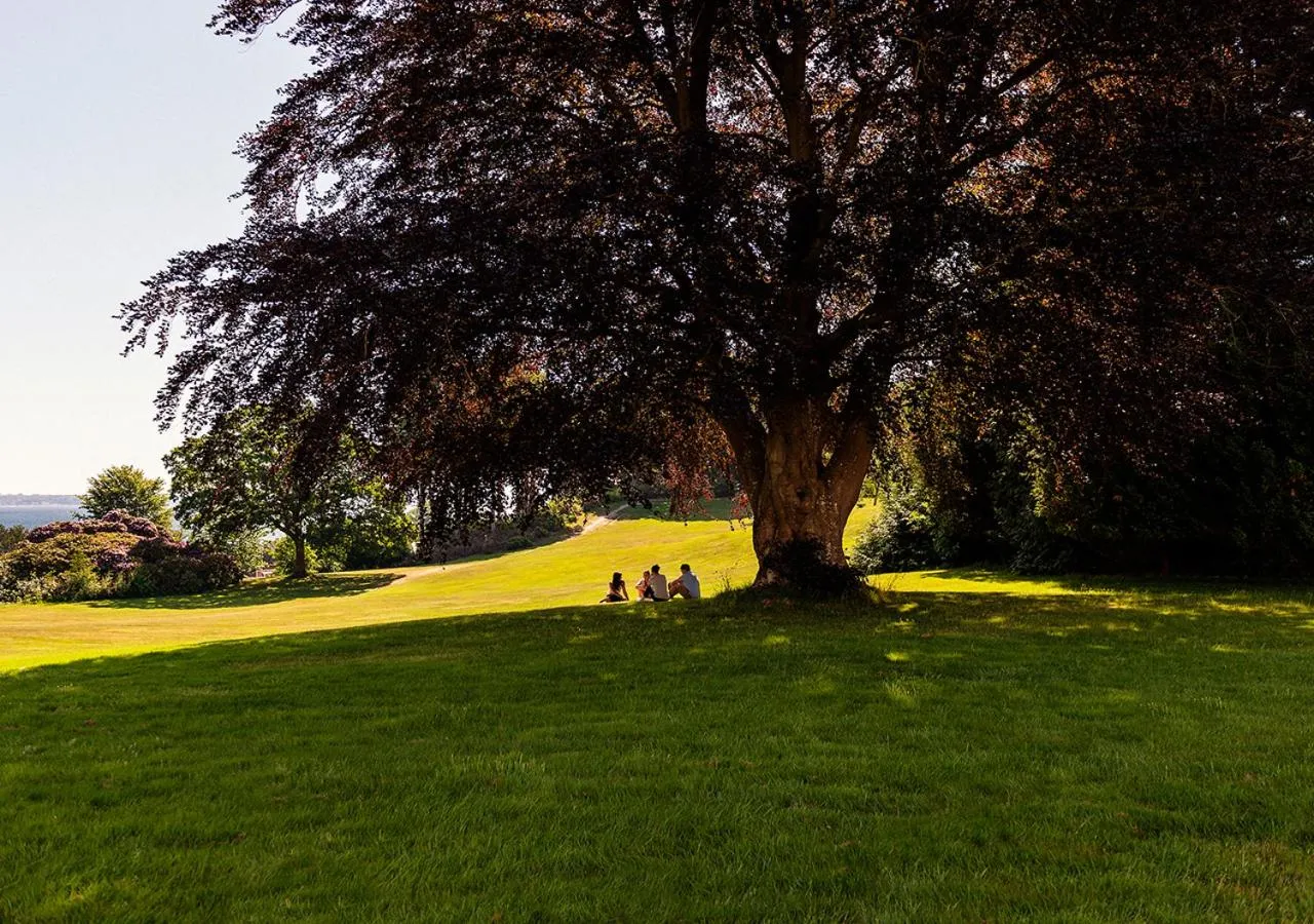 Garden view in Konventum Conference Center