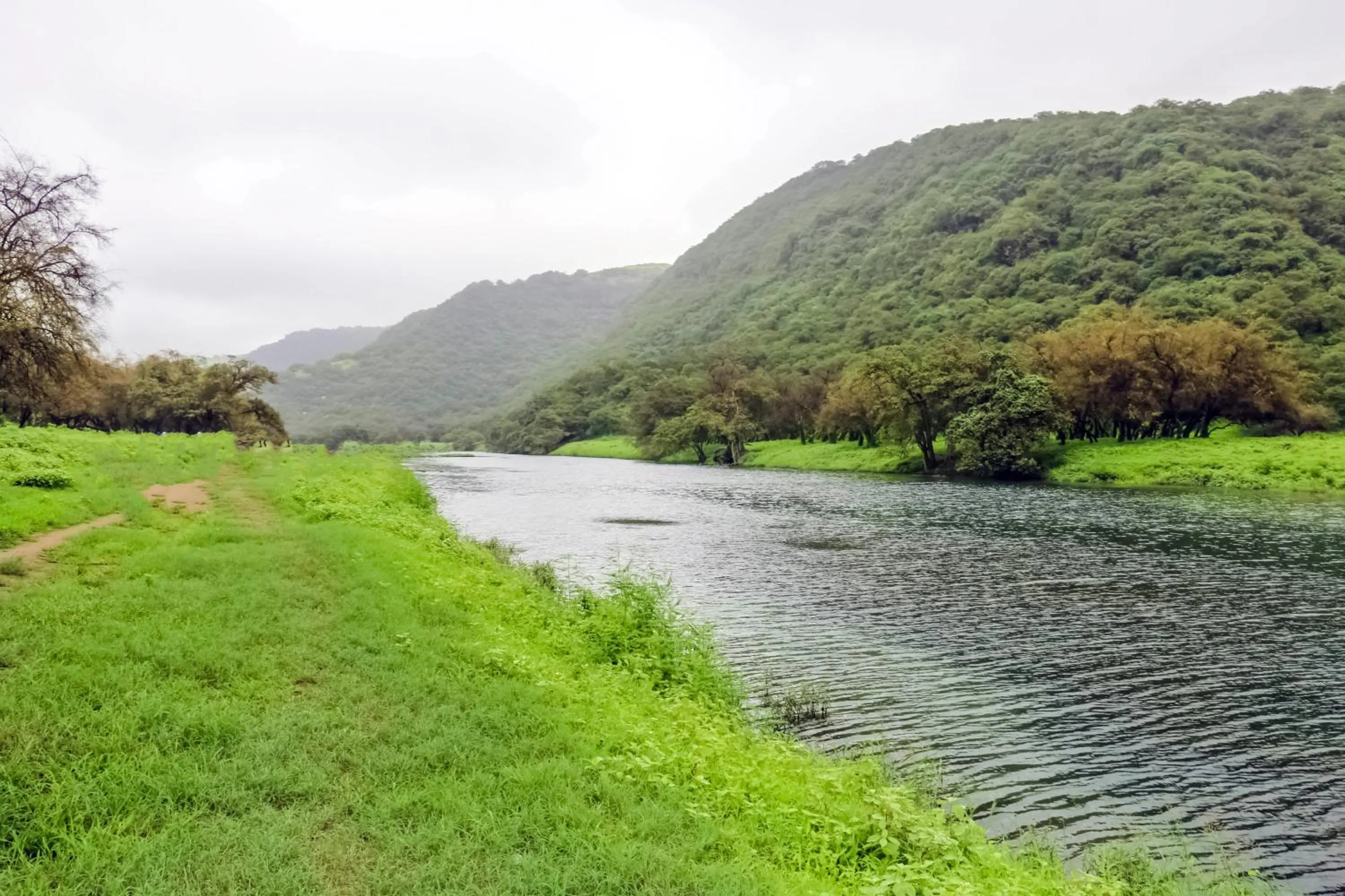 Natural landscape in Wyndham Garden Salalah Mirbat