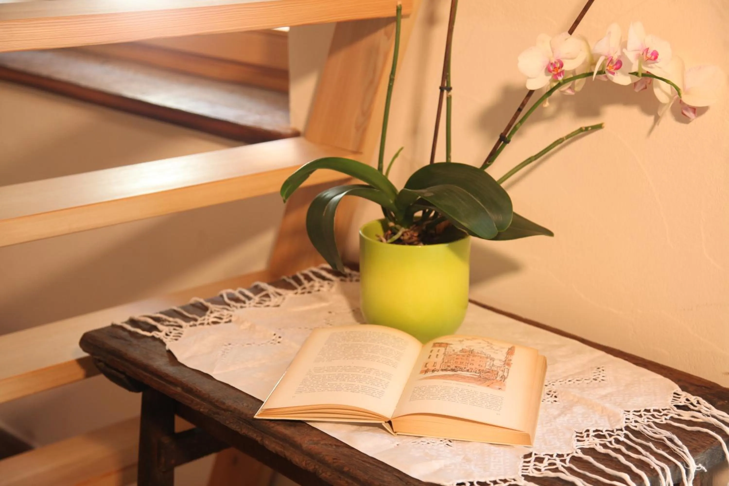 Decorative detail in Mi Casa Tu Casa