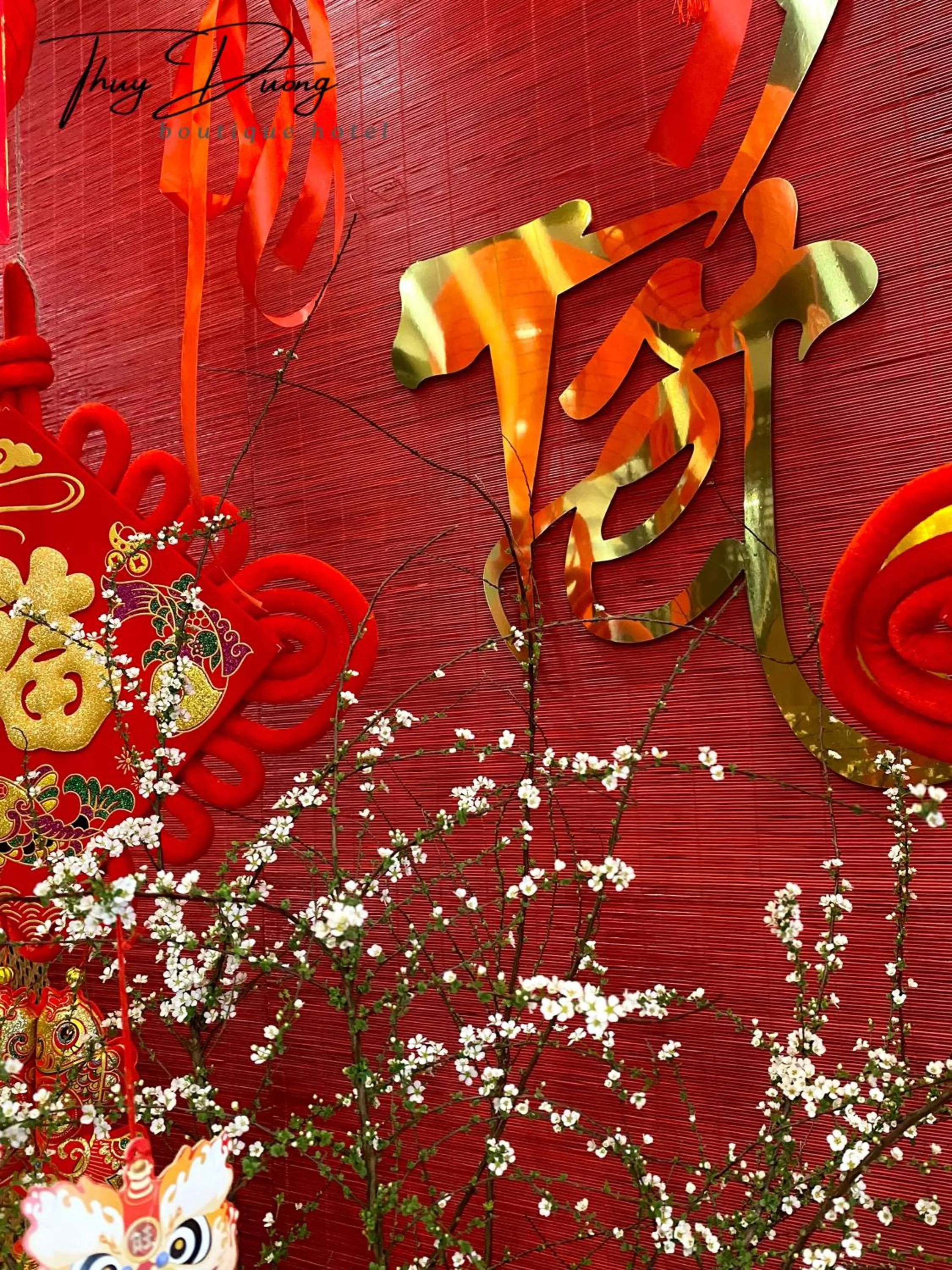 Thuy Duong Boutique Hotel Hue