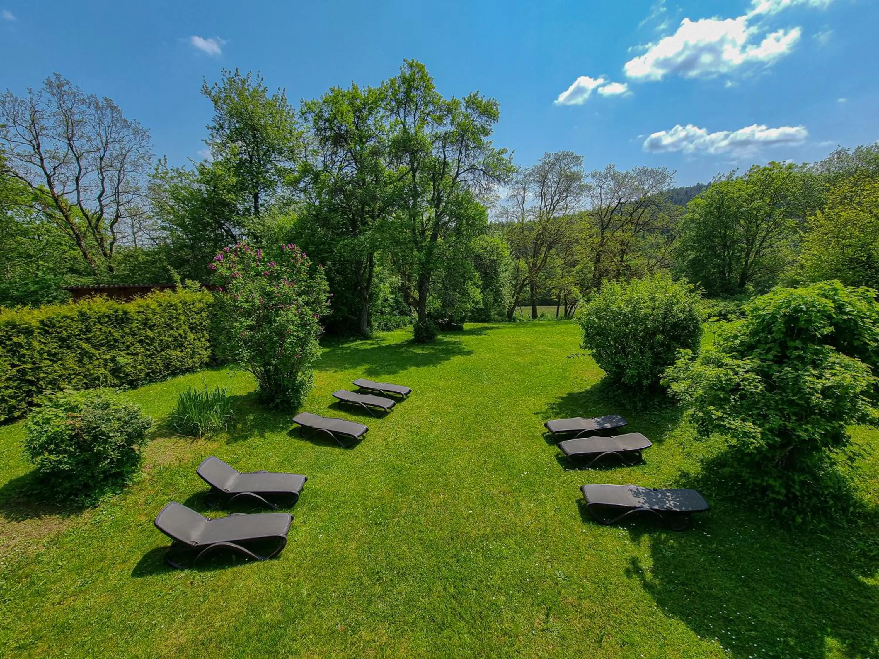 Natural landscape in Hotel Landhaus Waldesruh