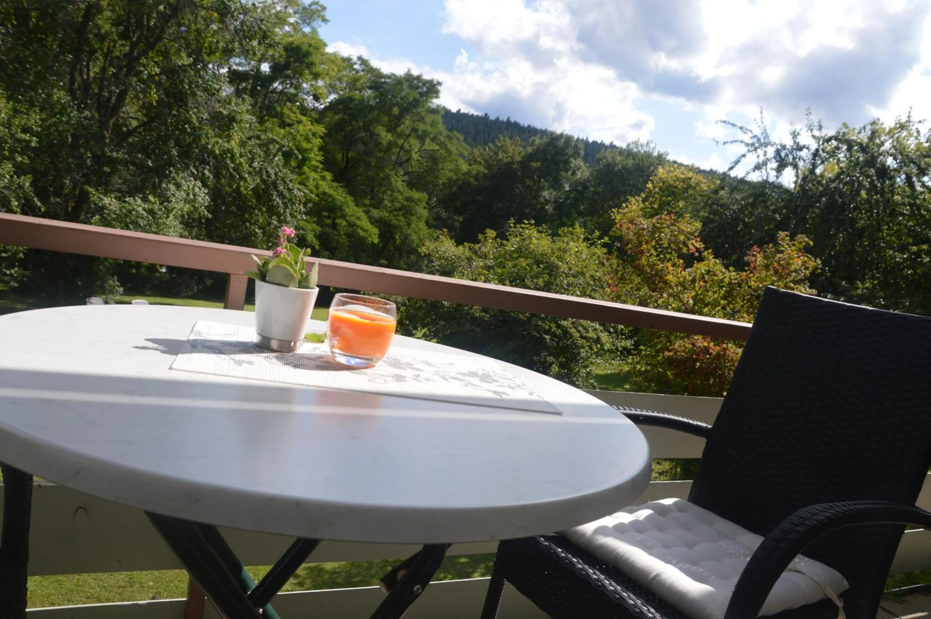 Natural landscape in Hotel Landhaus Waldesruh