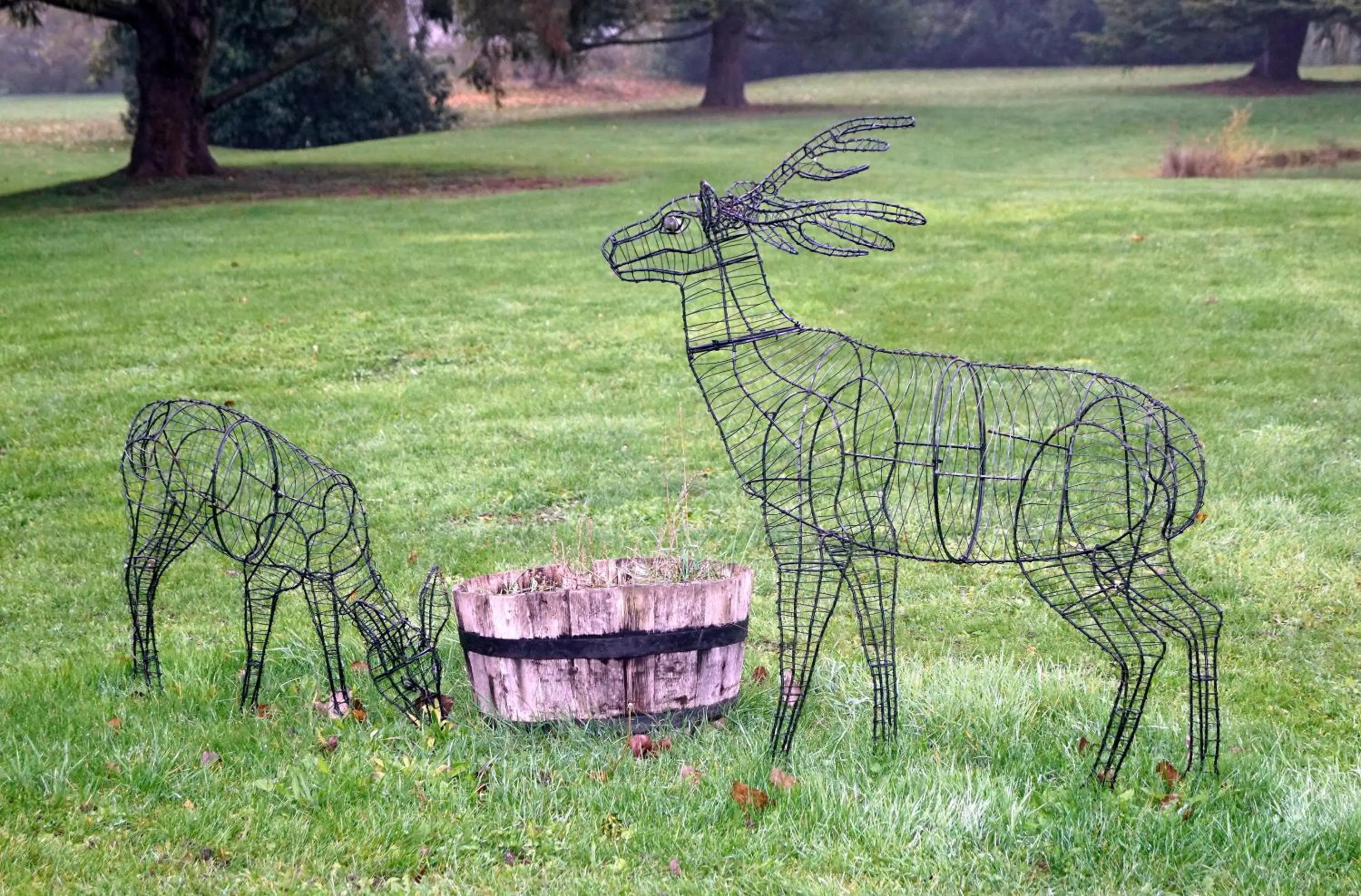 Garden in Le Gingko - Hotel du Golf Parc Robert Hersant