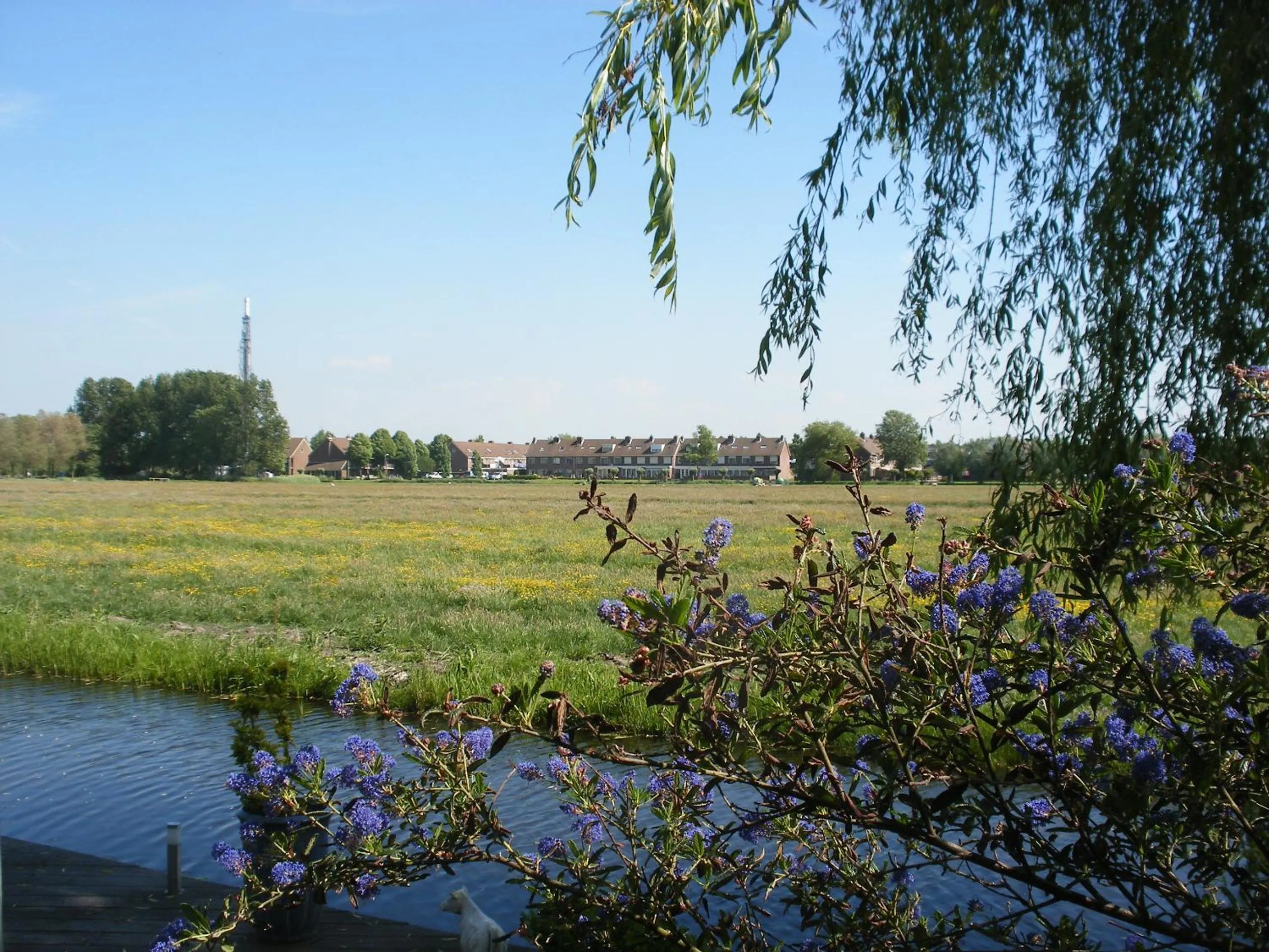 Natural landscape in B&B-Edam