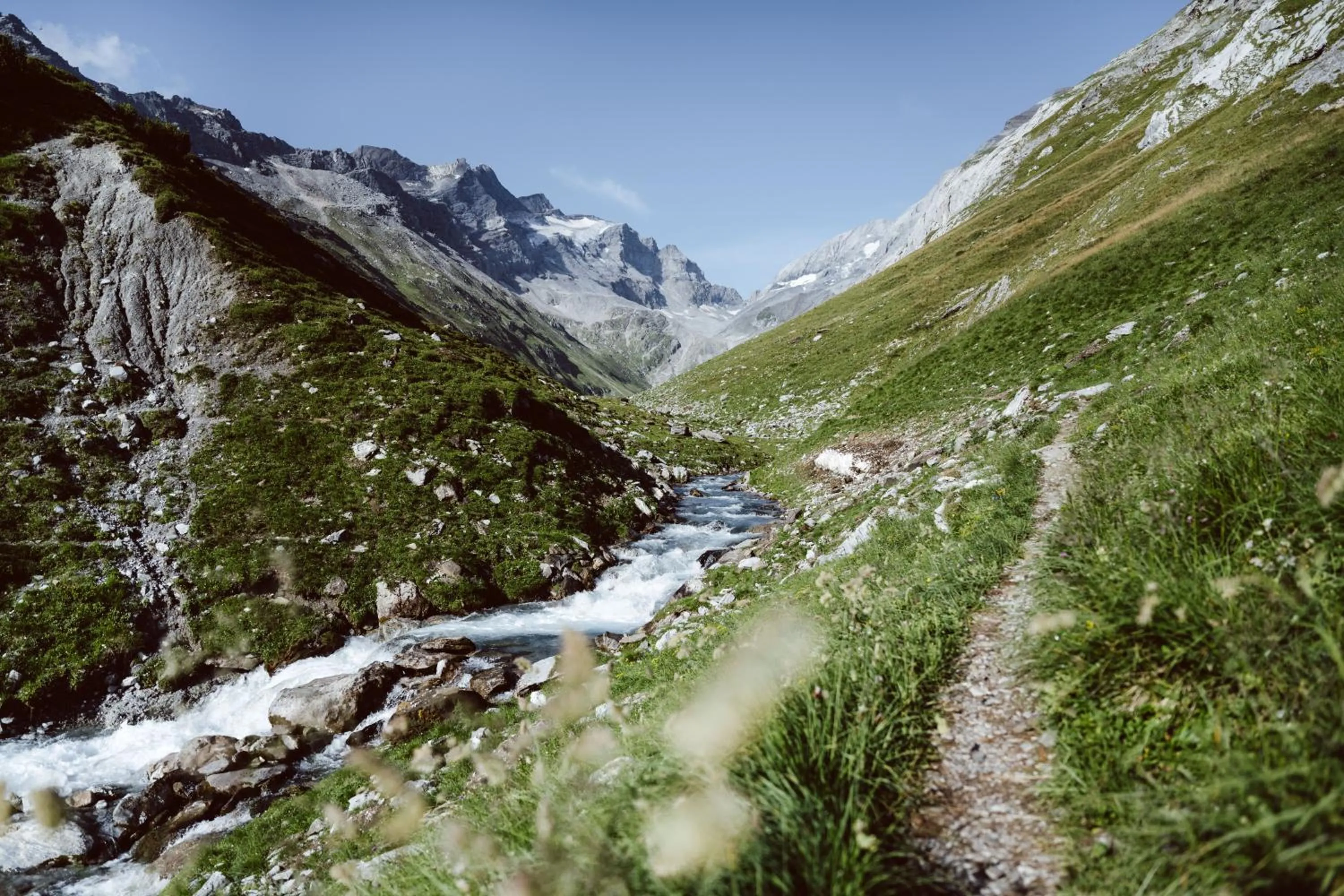 Natural landscape in Boutique-Hotel Vincenz