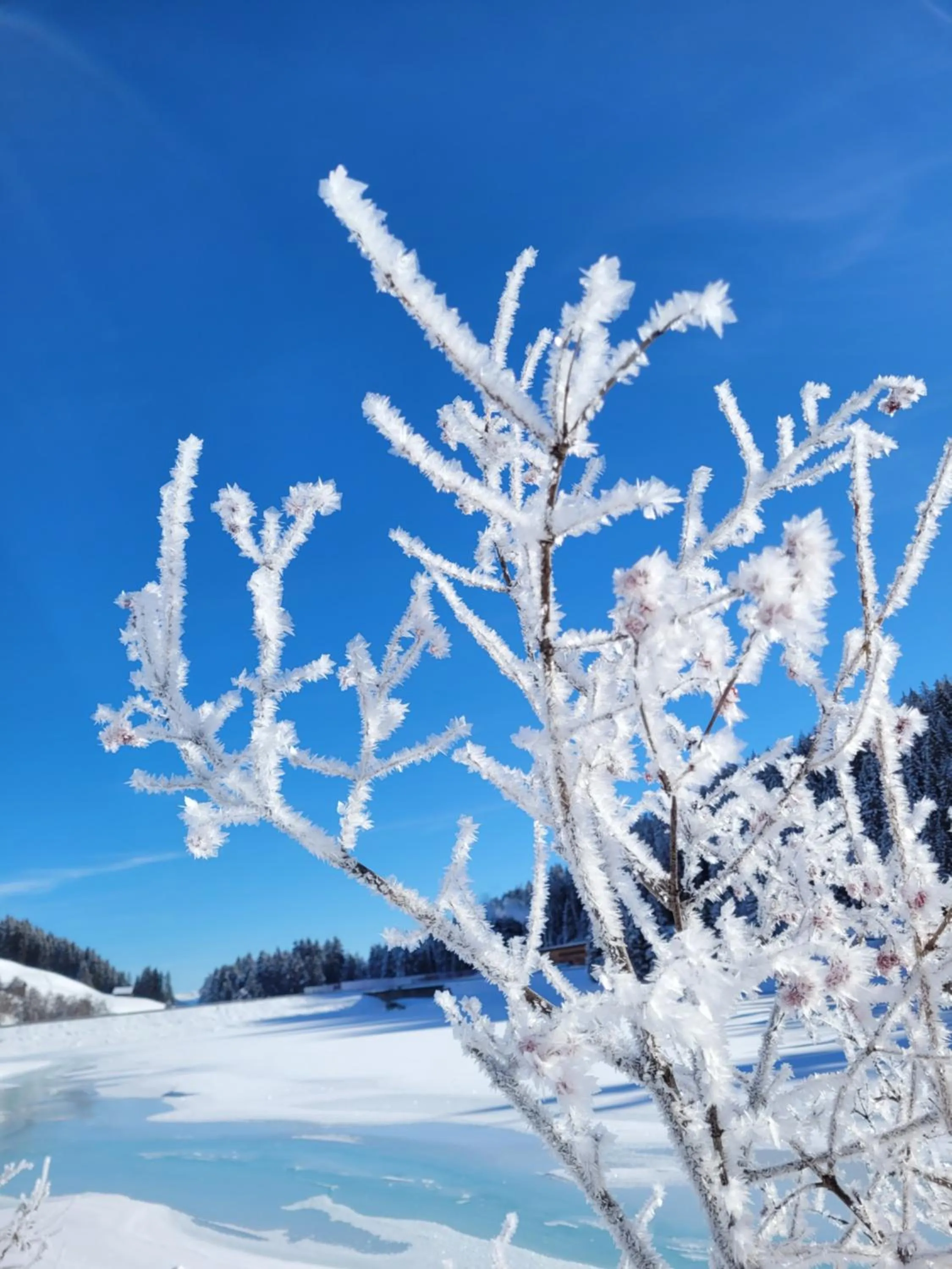 Winter in Boutique-Hotel Vincenz