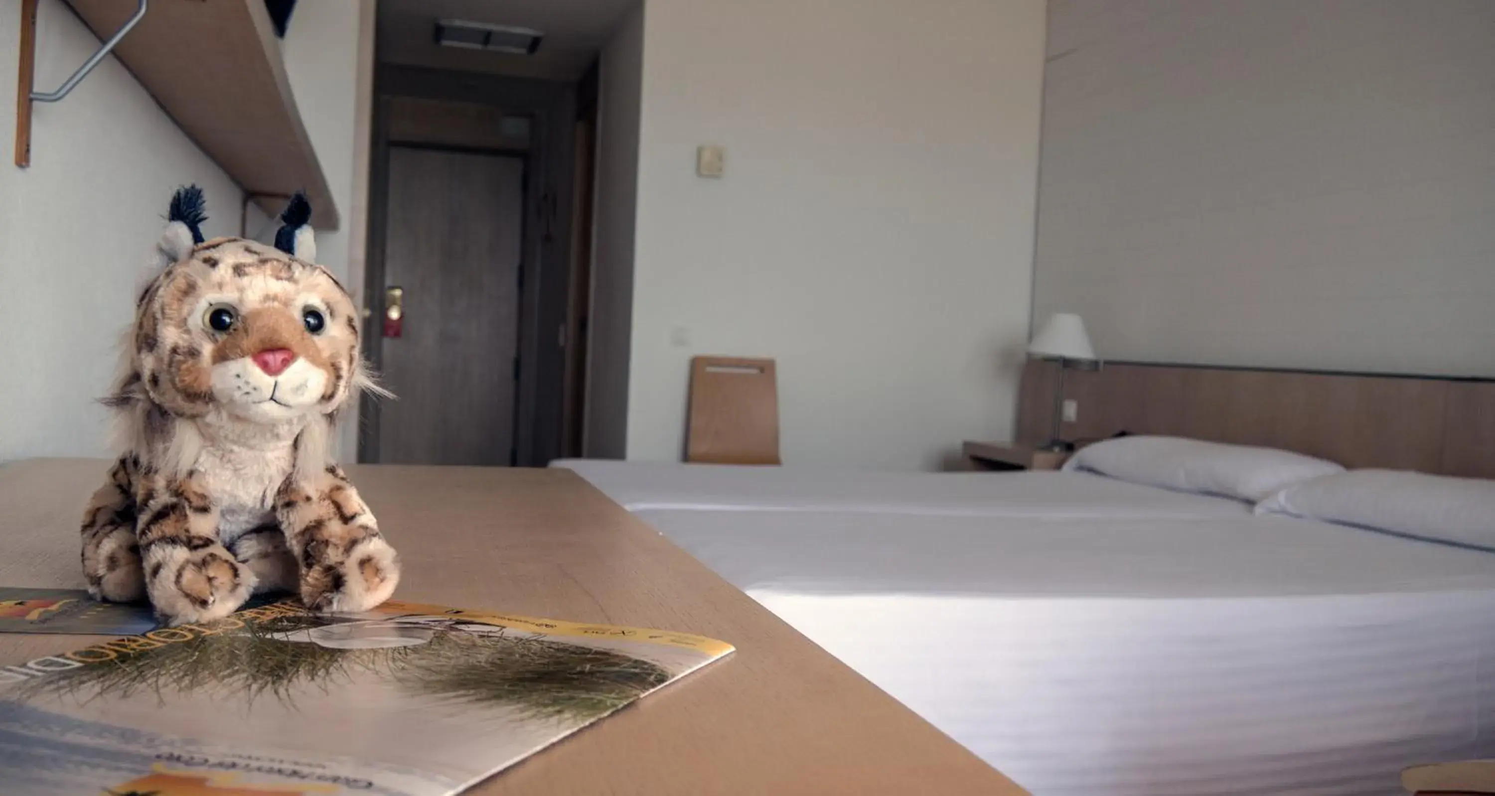 Twin Room in Gran Hotel del Coto Twin Room in Gran Hotel del Coto