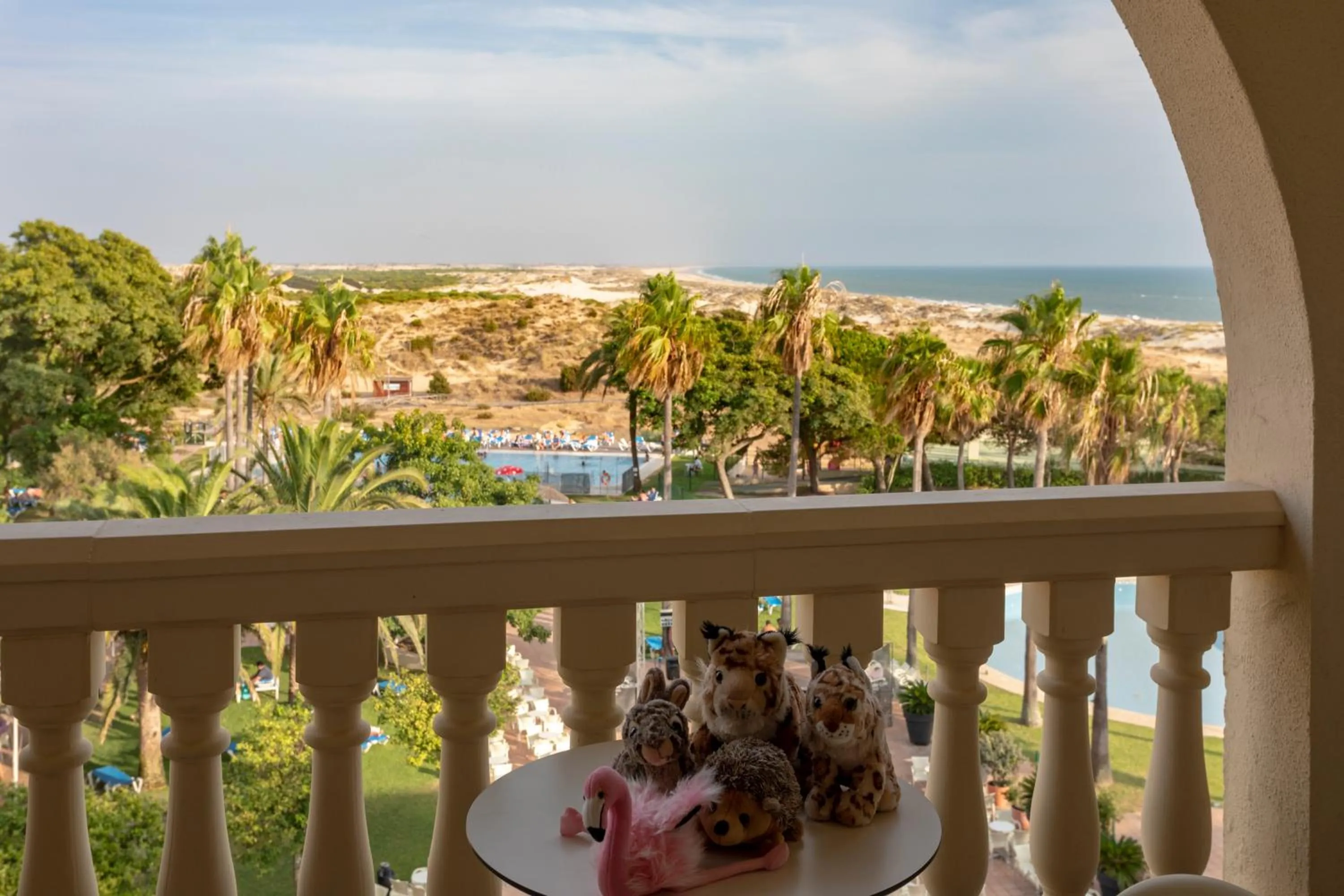 Balcony/Terrace in Gran Hotel del Coto