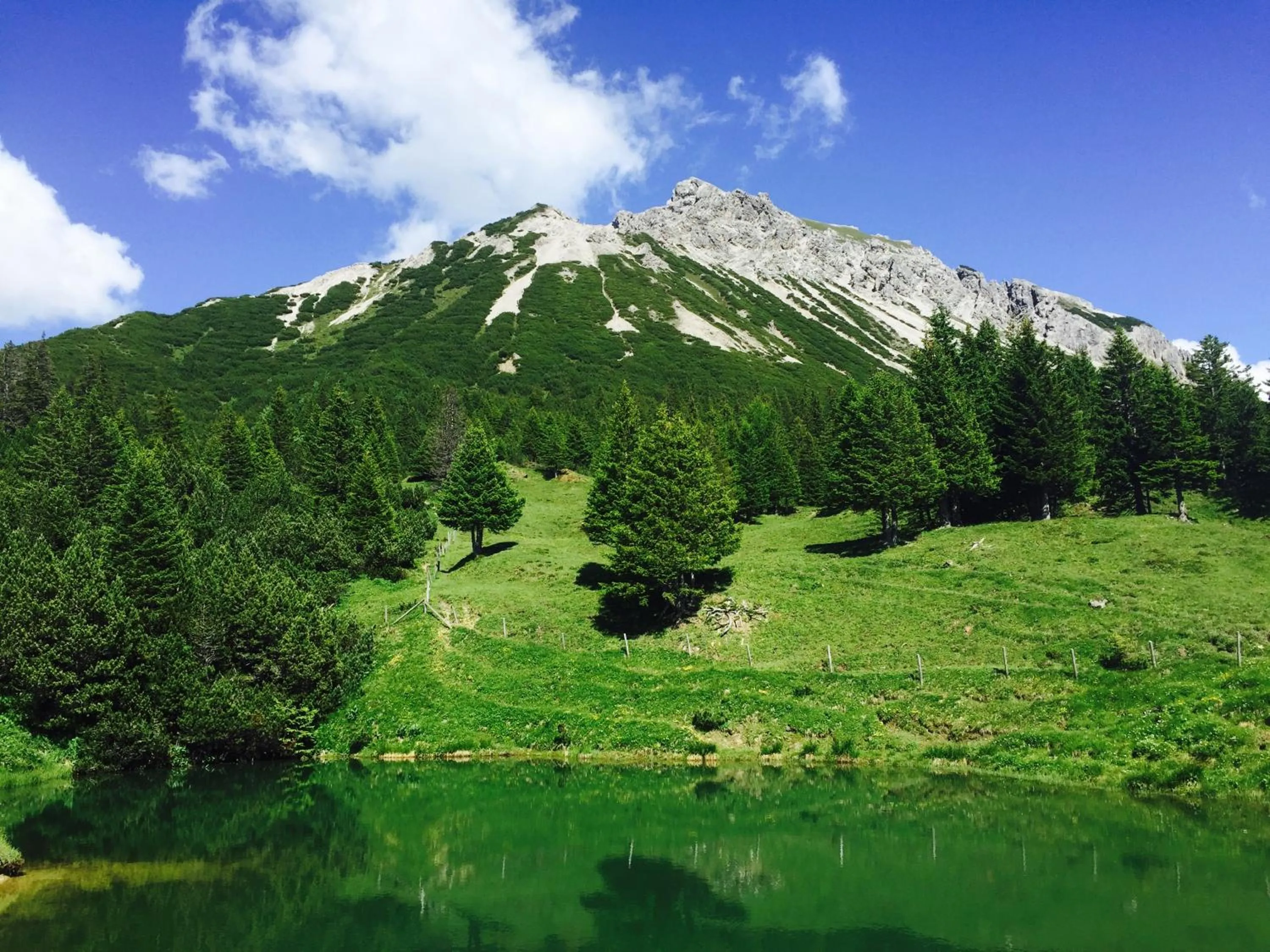 Natural landscape in Hotel TURNA Malbun