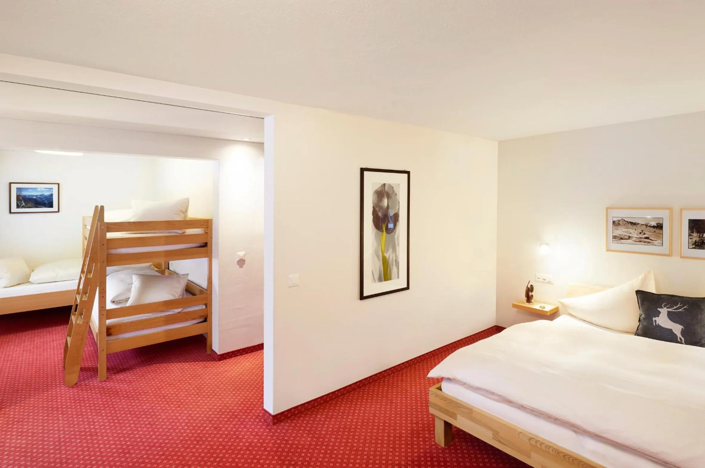 Photo of the whole room, Bed in Hotel TURNA Malbun