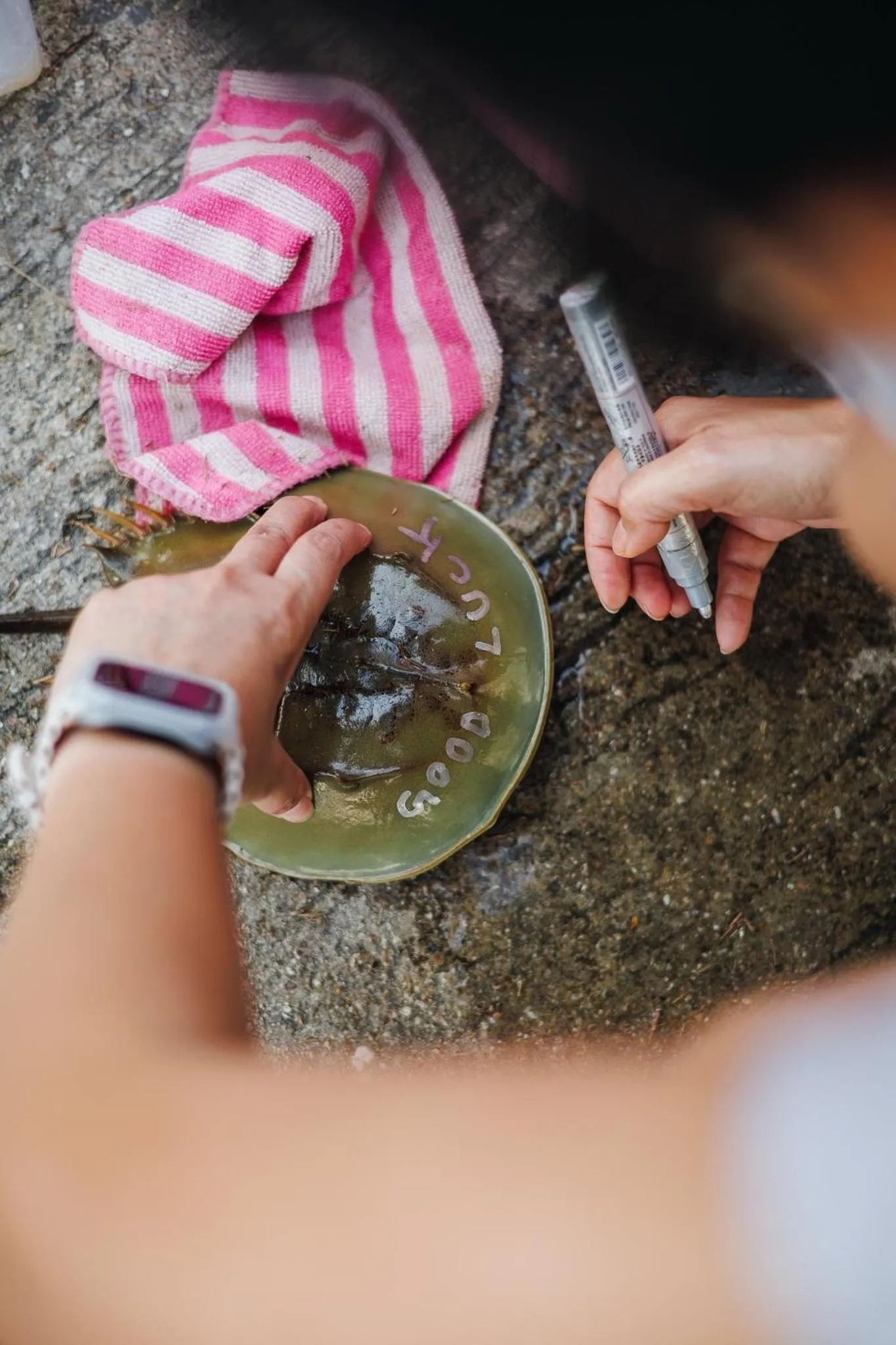 Nearby landmark in Loligo Resort Hua Hin