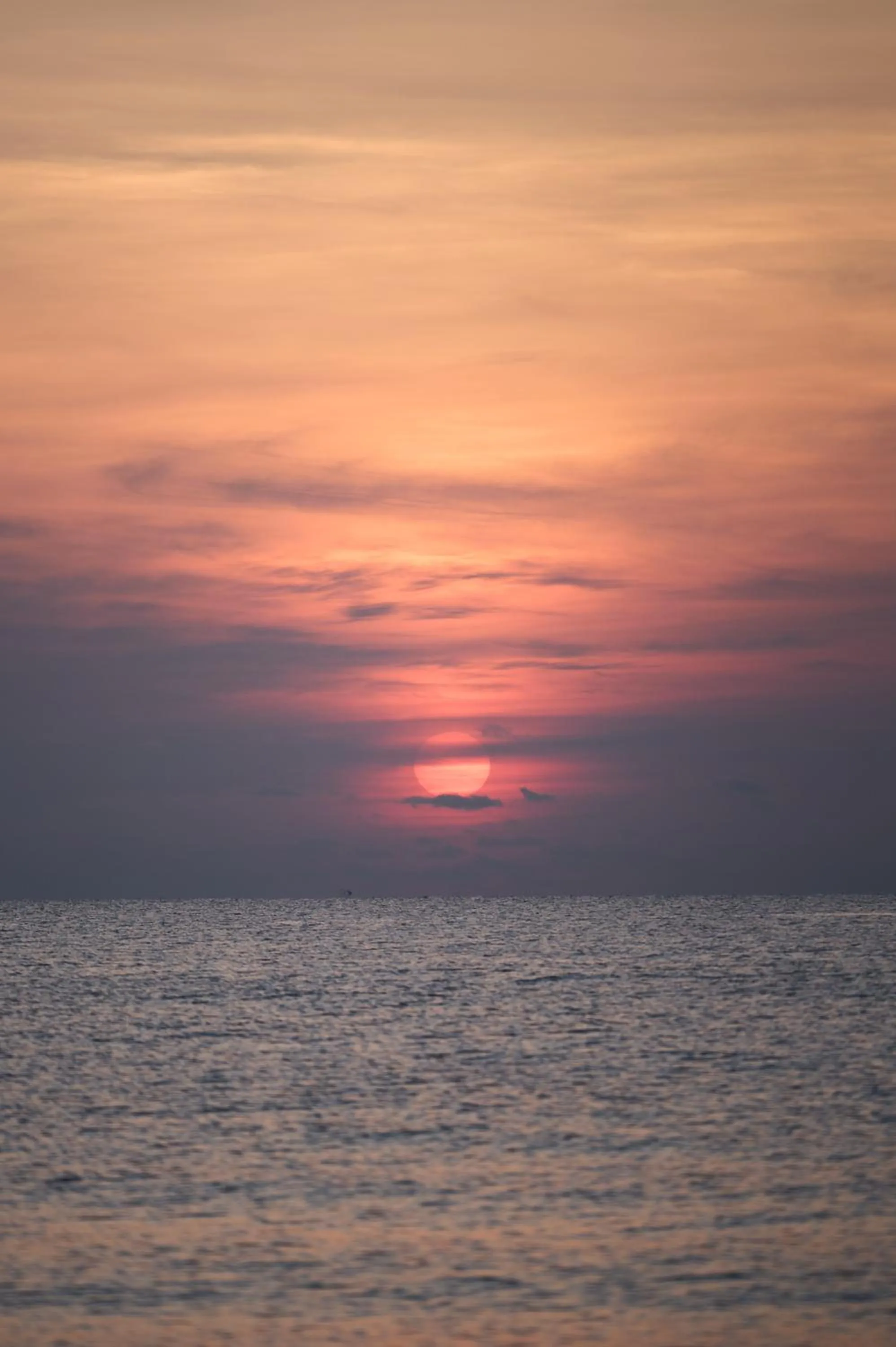 Natural landscape in Loligo Resort Hua Hin