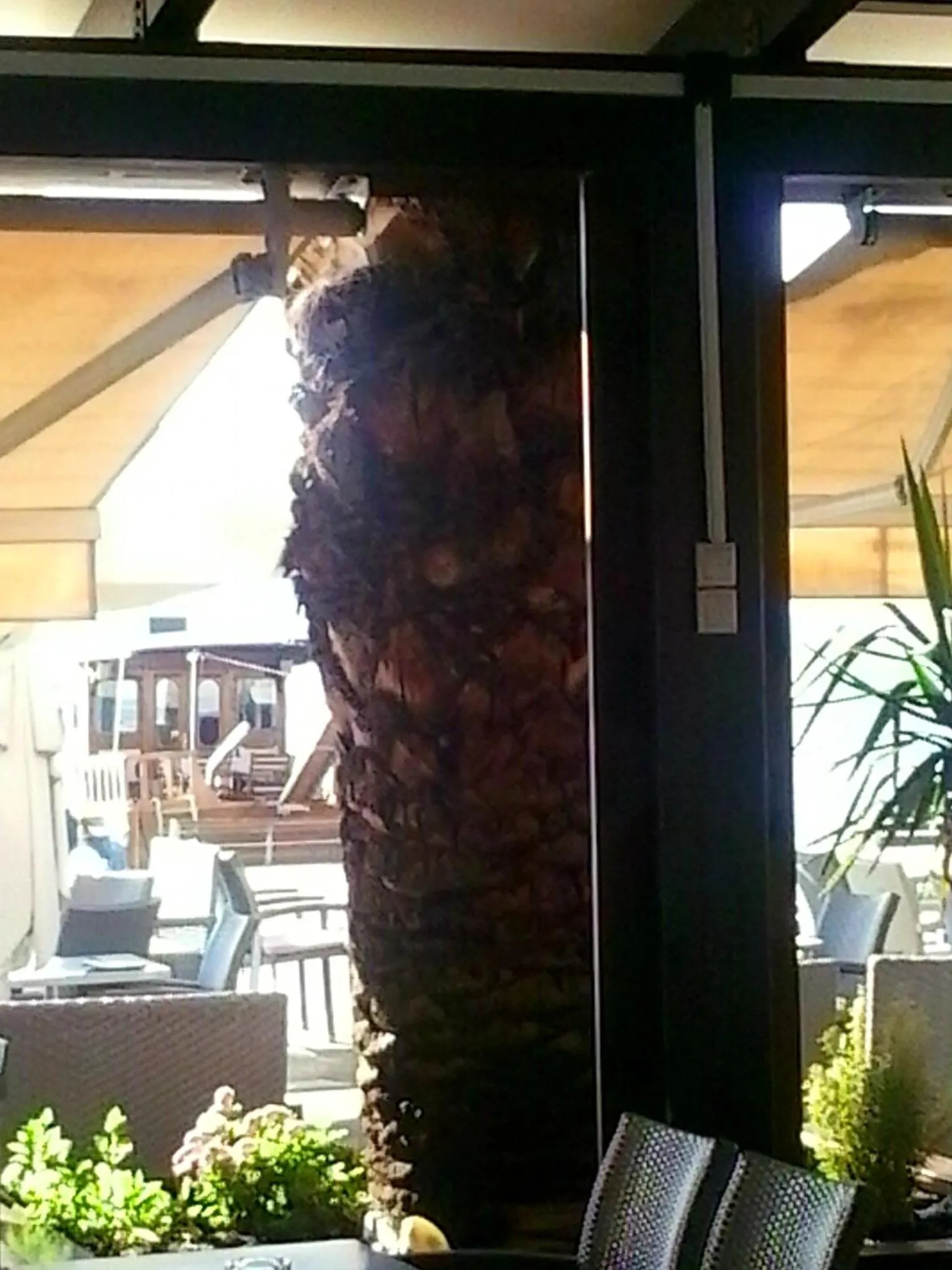 Restaurant/places to eat in Hotel Kipseli