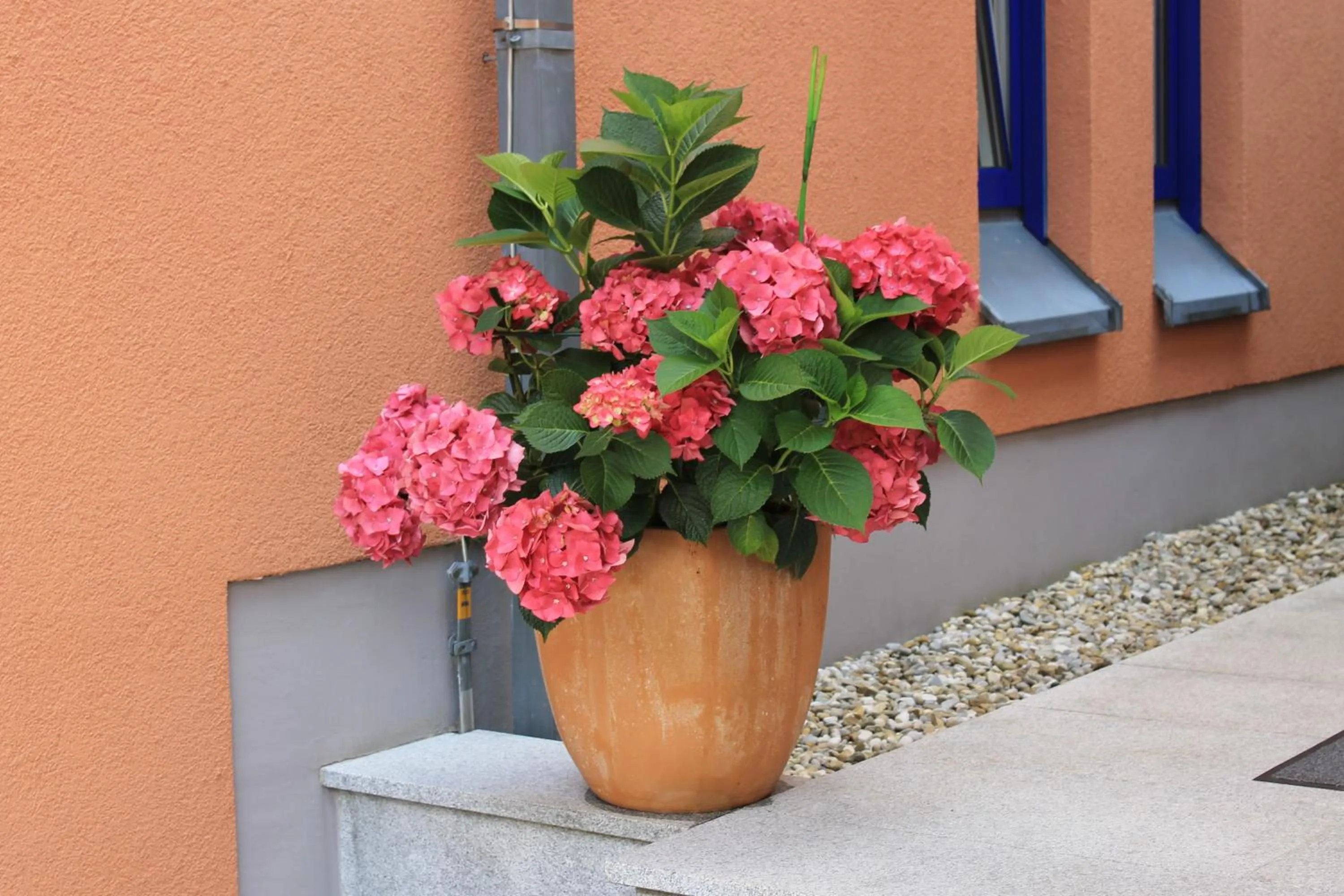 Decorative detail in Ambassador Apparthotel