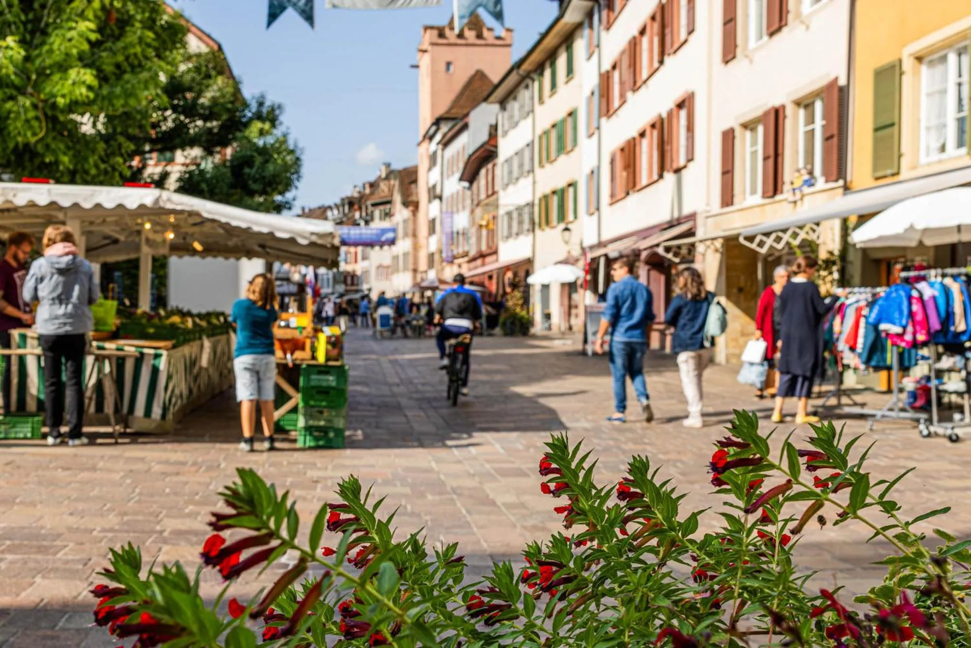 Nearby landmark in Hotel Schützen Rheinfelden