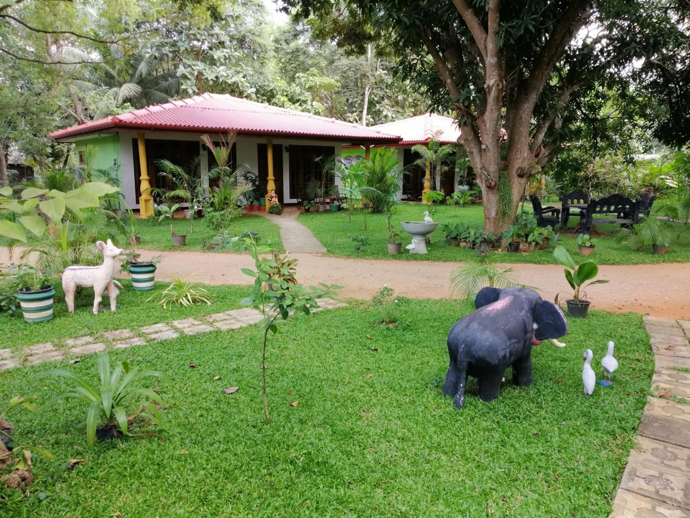 Natural landscape in Sigiriya Ranasinghe Nature Villa & Cabana