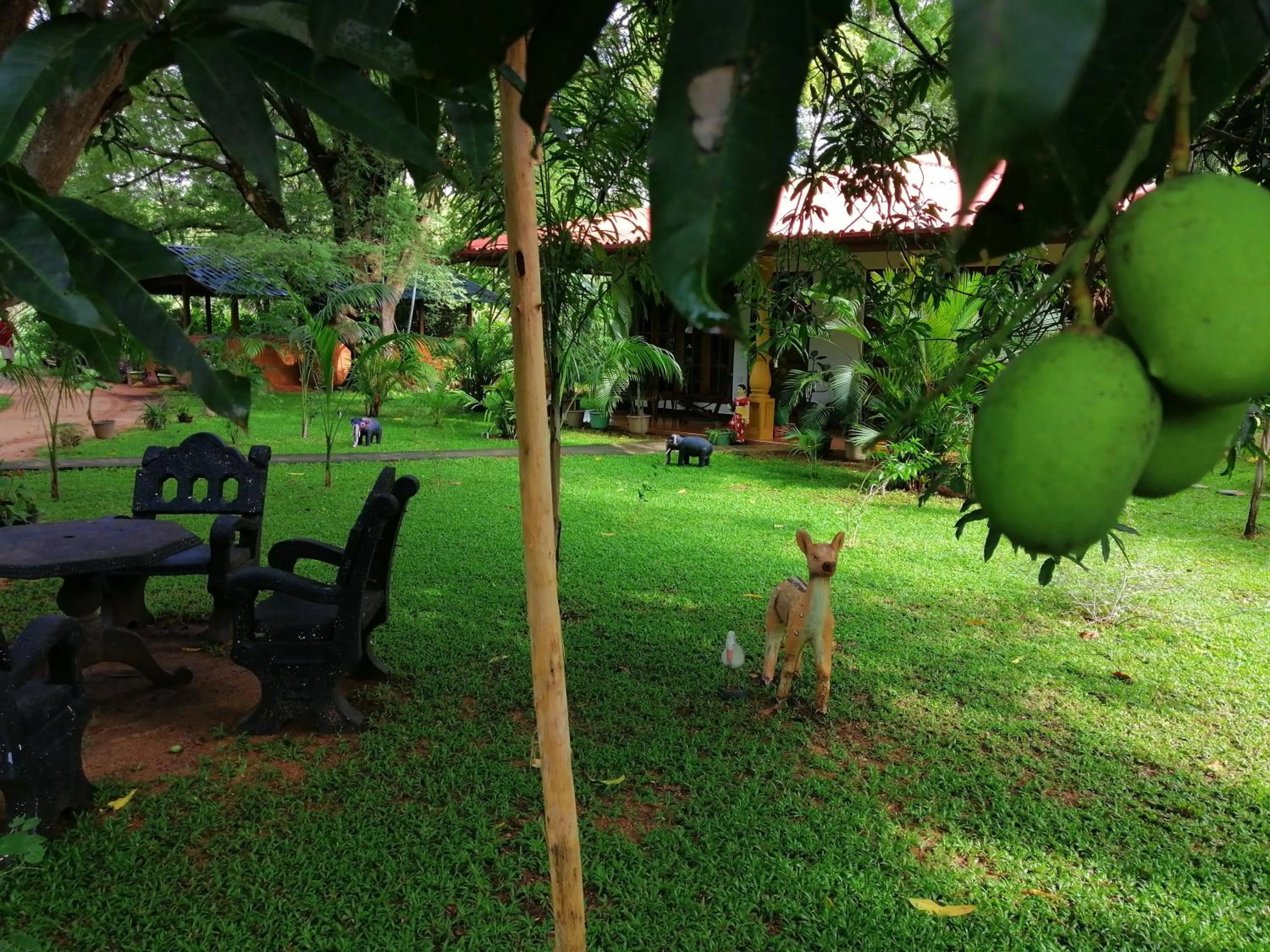 Garden in Sigiriya Ranasinghe Nature Villa & Cabana