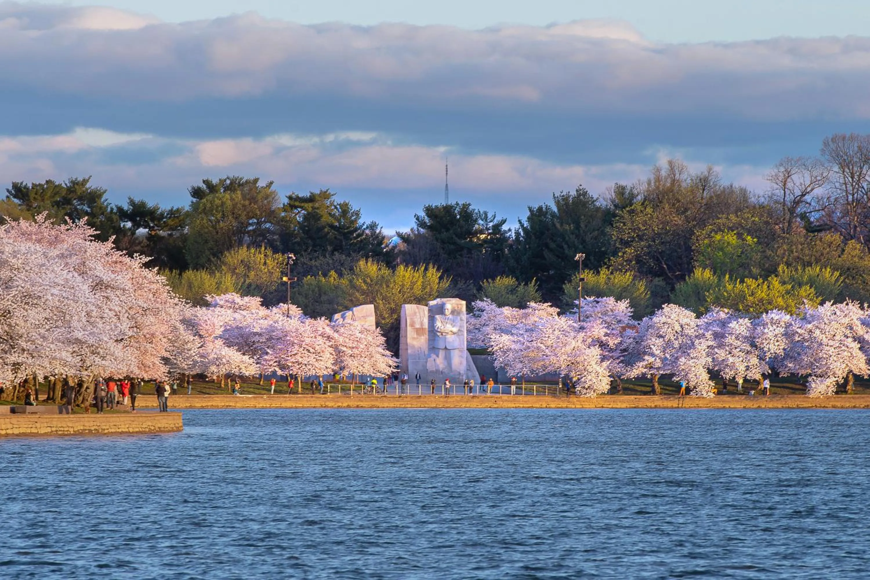 Activities in Salamander Washington DC