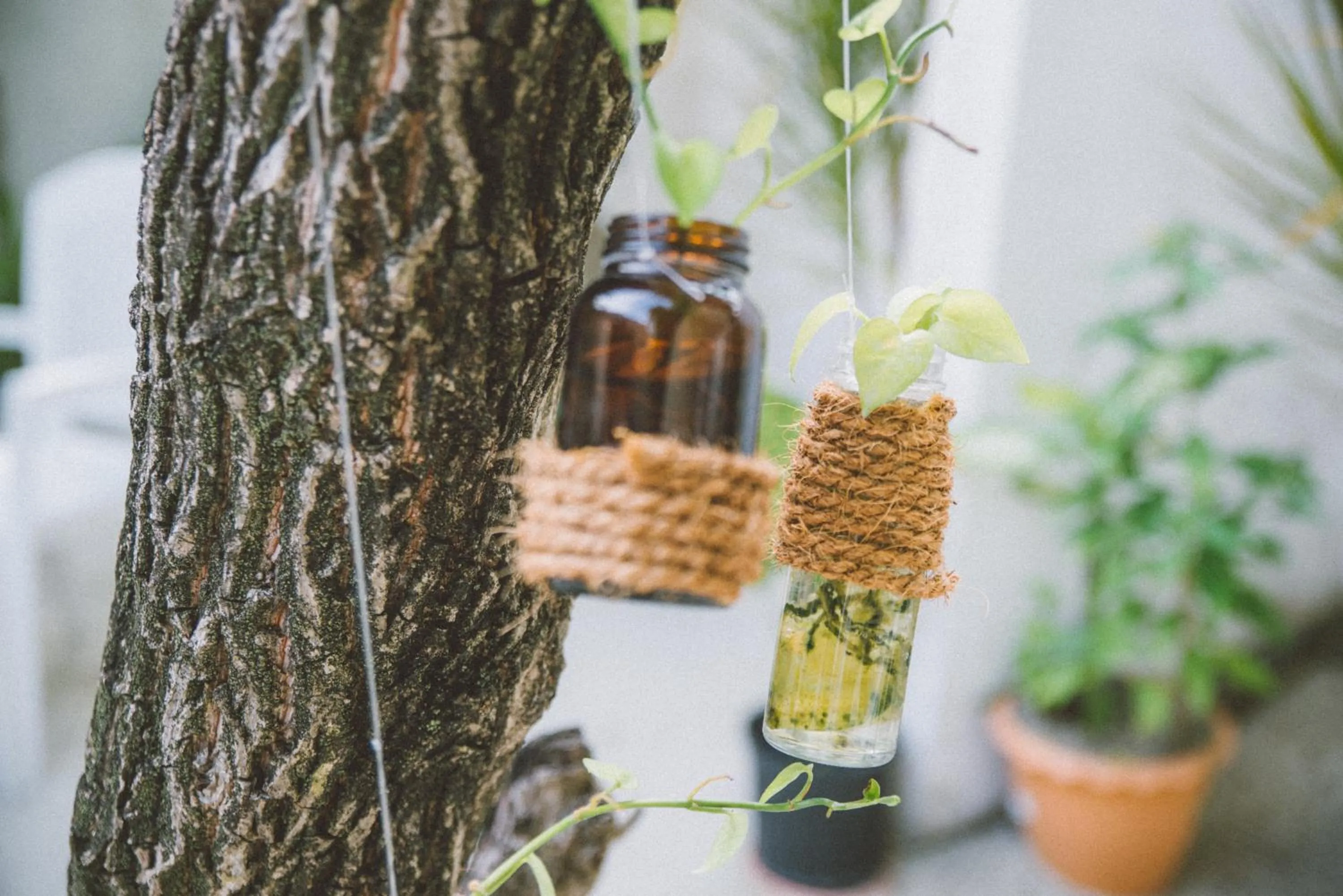 Garden in Midsummer Thulusdhoo
