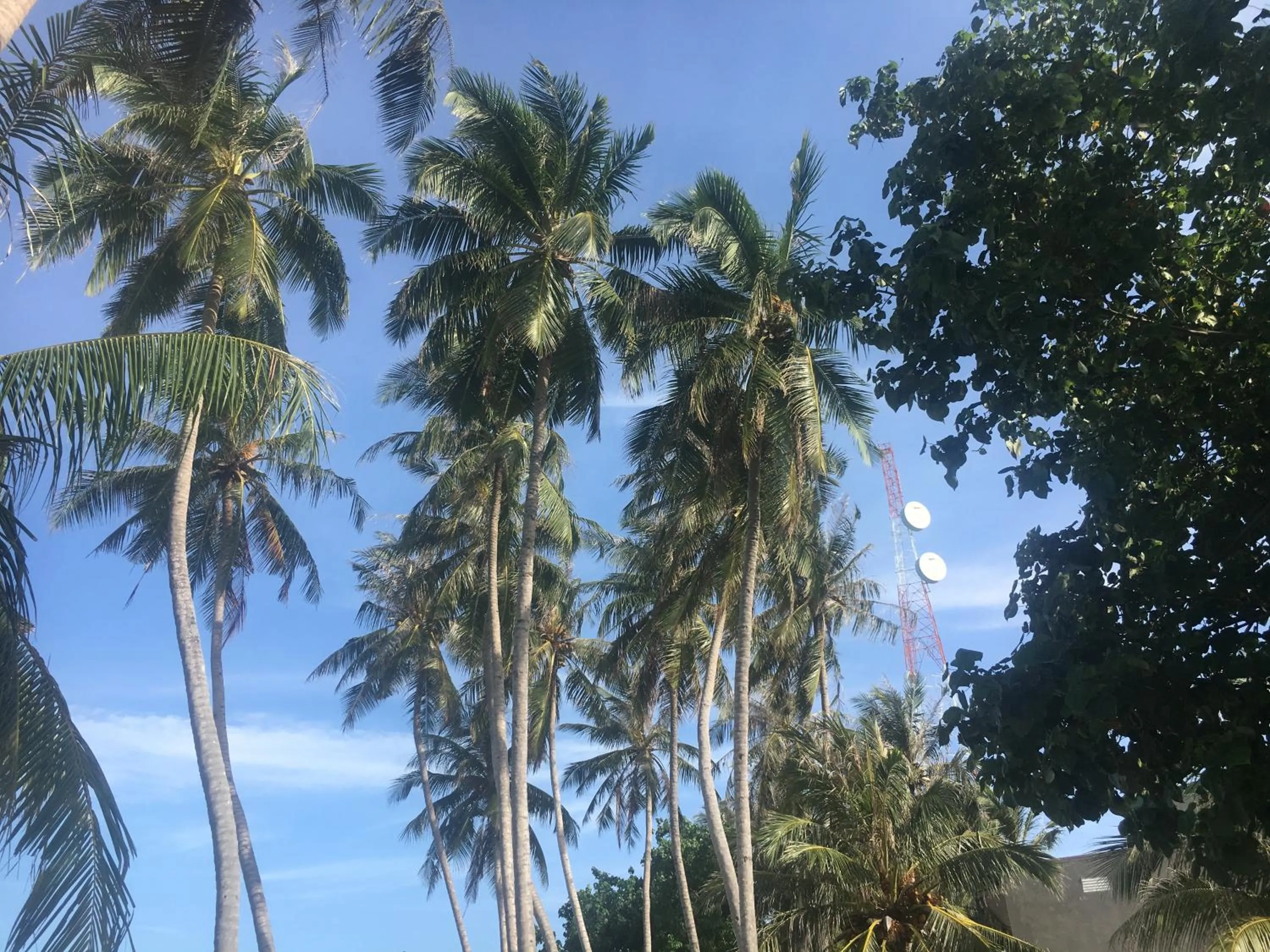 Natural landscape in Midsummer Thulusdhoo