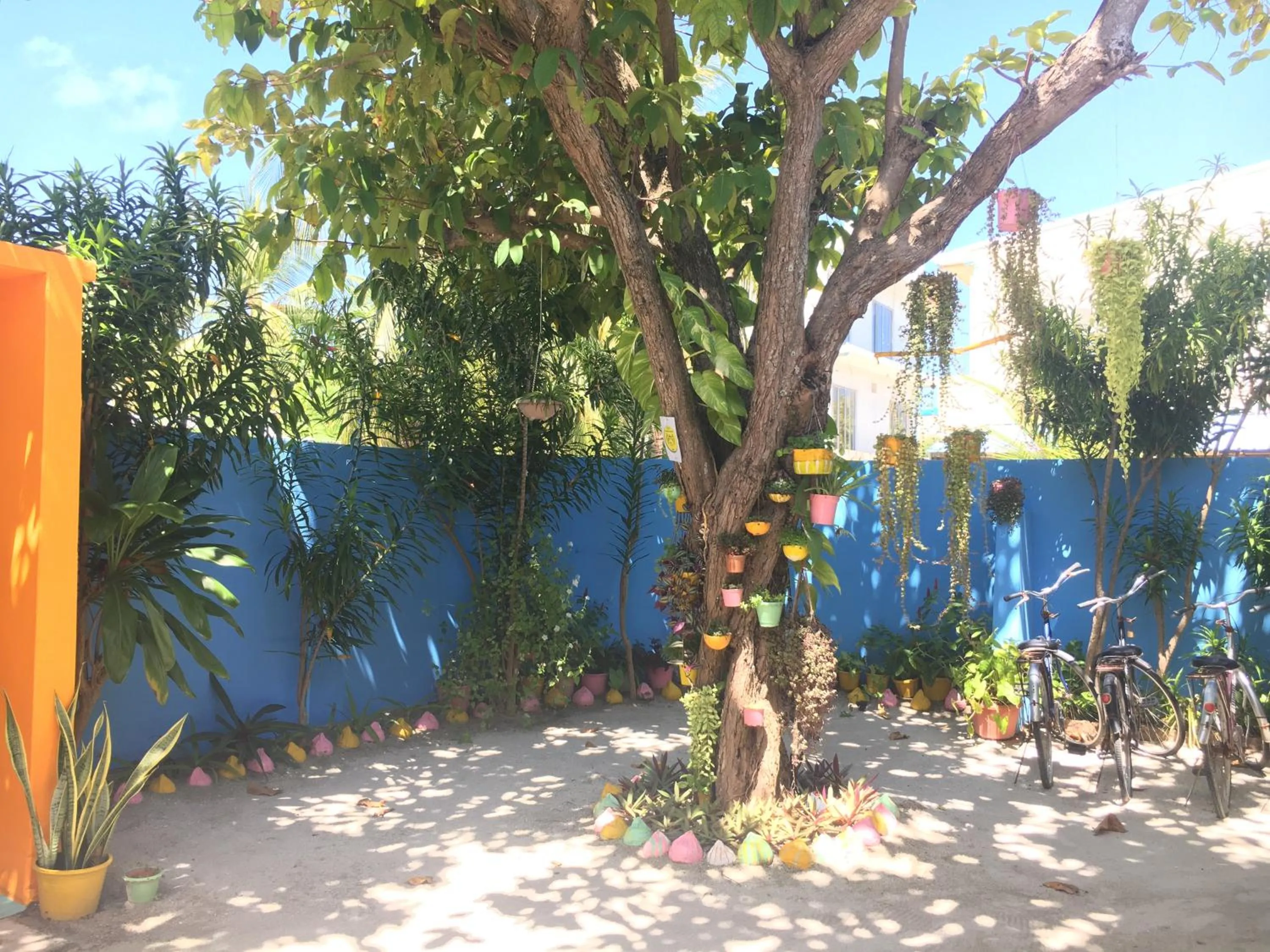Garden in Midsummer Thulusdhoo